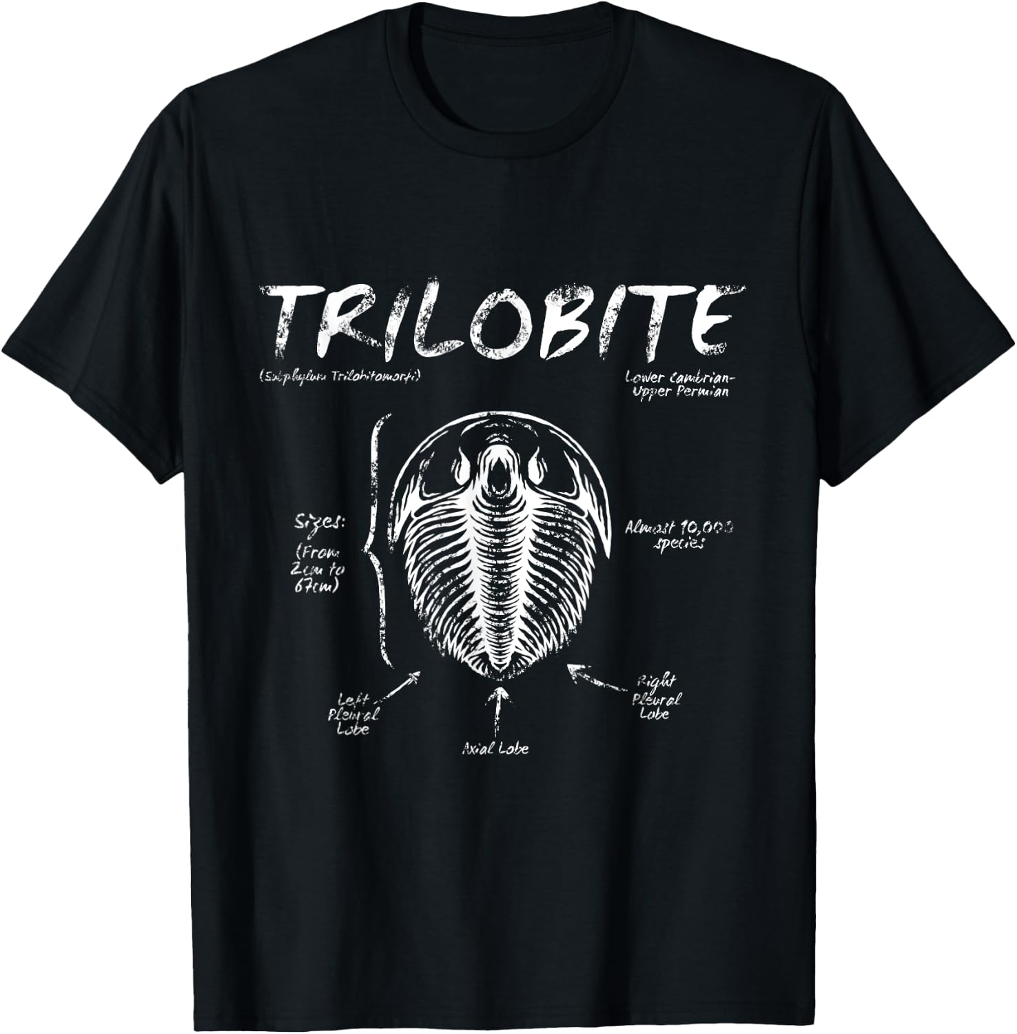 Trilobite Geology Teacher Fossil Men Women Kids T-Shirt - T-Shirt | Black