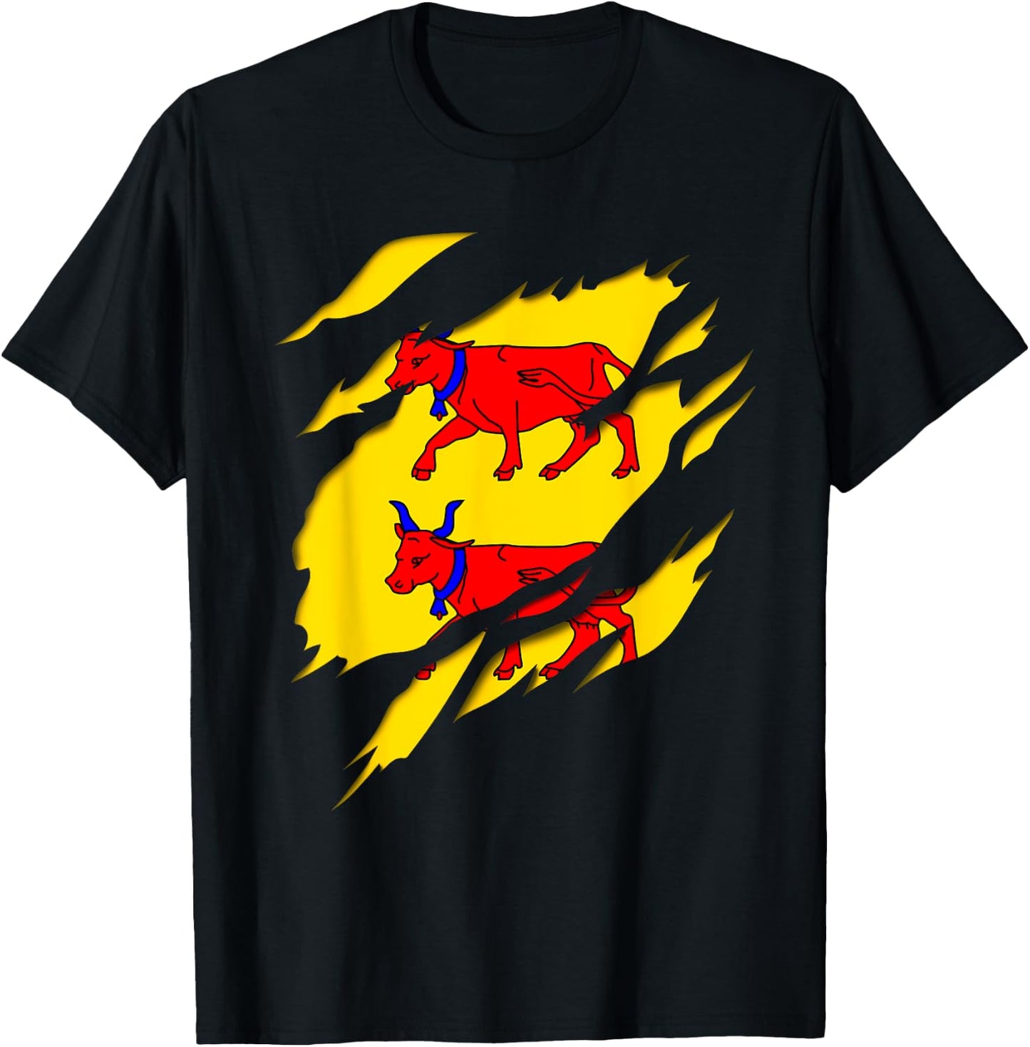 Béarn Flag Crest Ripped 3D Effect France T-Shirt - T-Shirt | Black