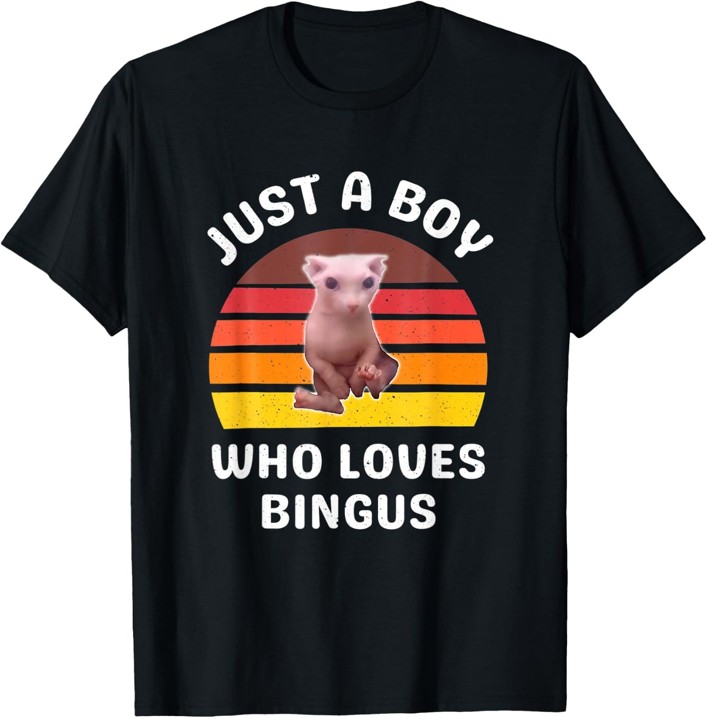 Just A Boy Who Loves Bingus Funny Hairless Sphynx Cat T-Shirt - T-Shirt | Black