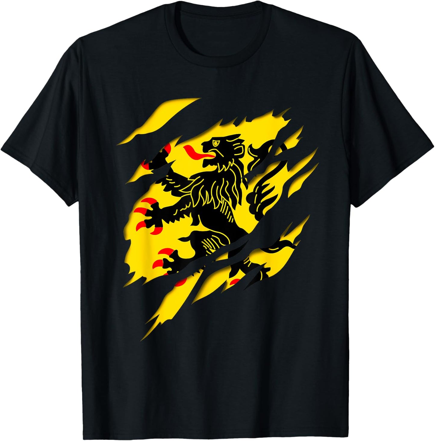 Flag Nord Pas de Calais Crest Ripped 3D Effect France , Black, S T-Shirt - T-Shirt | Black