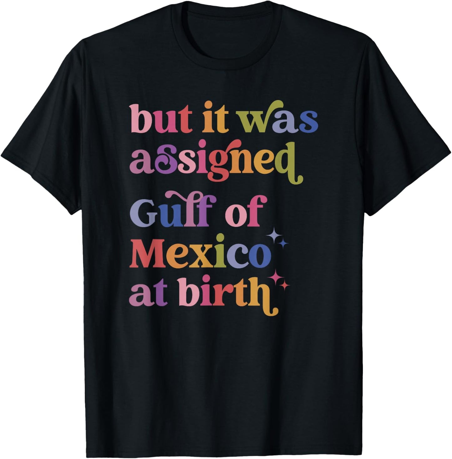 But It Was Assigned Gulf Of Mexico At Birth T-Shirt - T-Shirt | Black