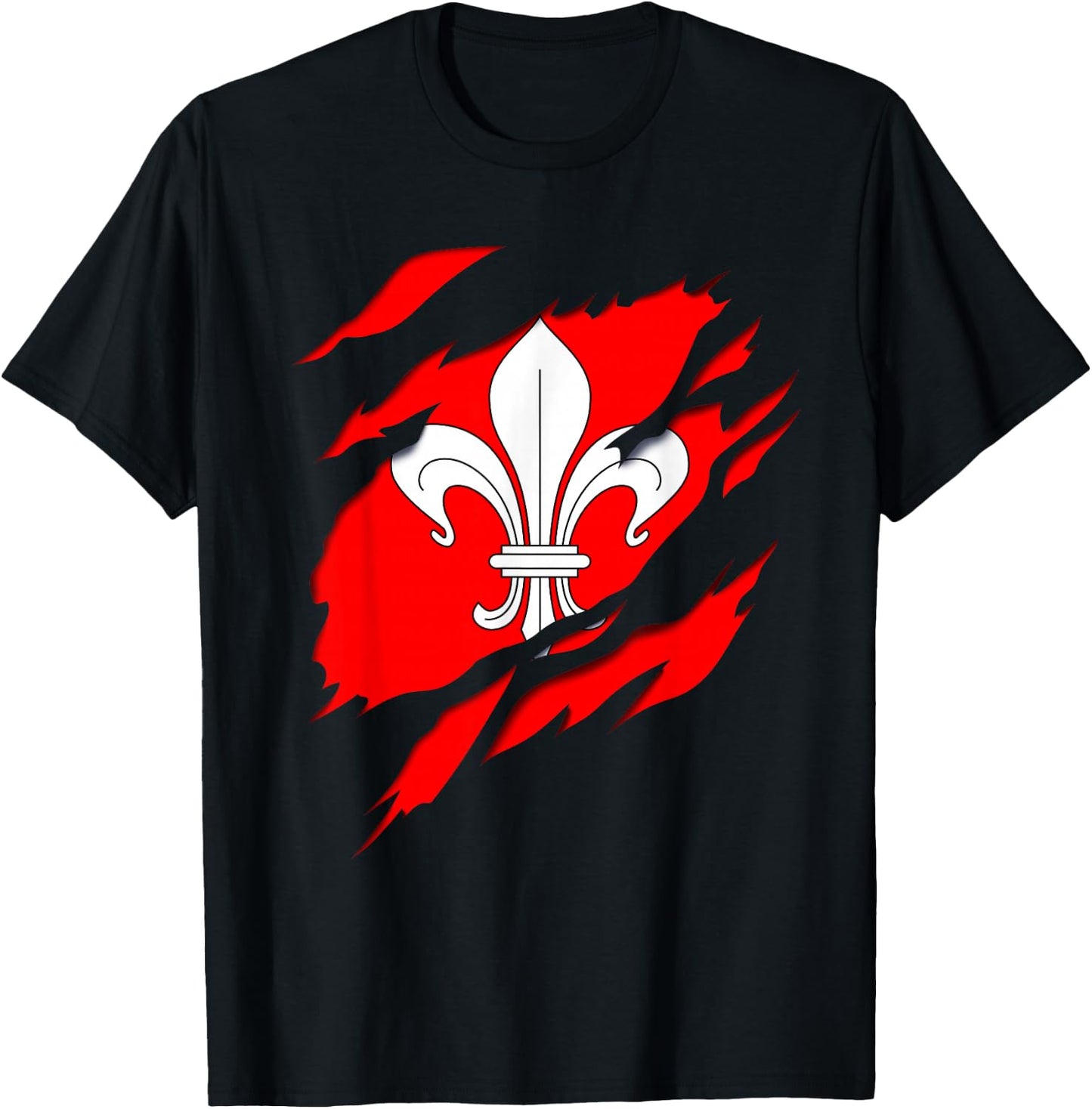 Flag Lille Coat of Arms torn with 3D effect. France T-Shirt - T-Shirt | Black