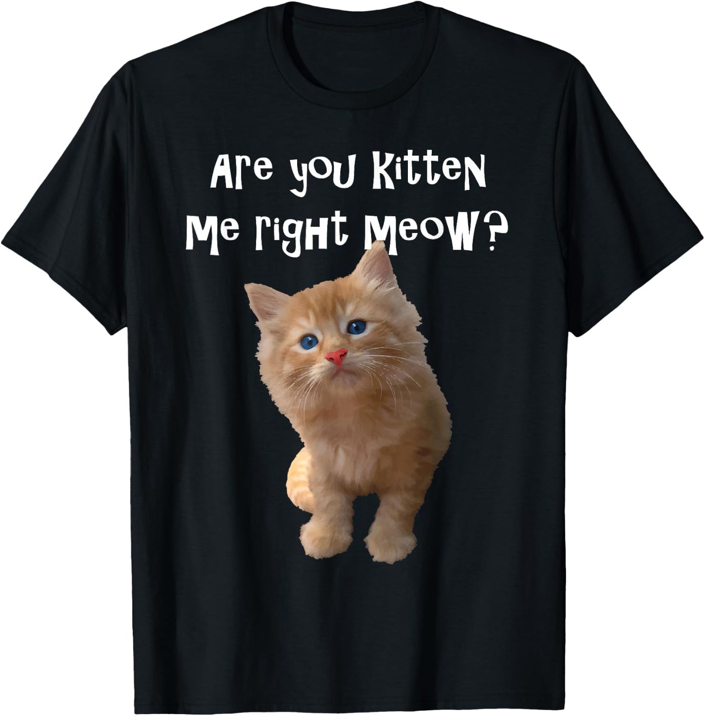 Are You Kitten Me Right Meow? T-Shirt - T-Shirt | Black