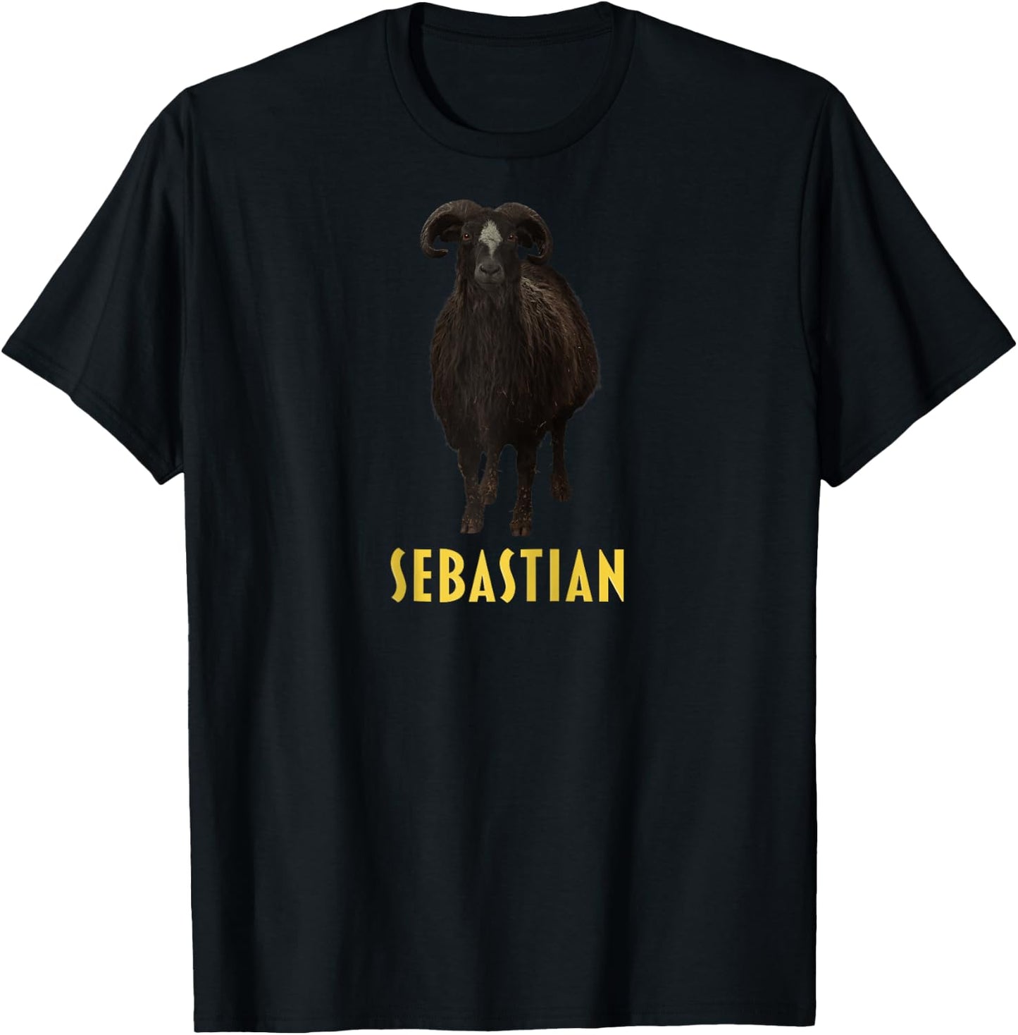 Sebastian Raglan Baseball T-Shirt - T-Shirt | Black