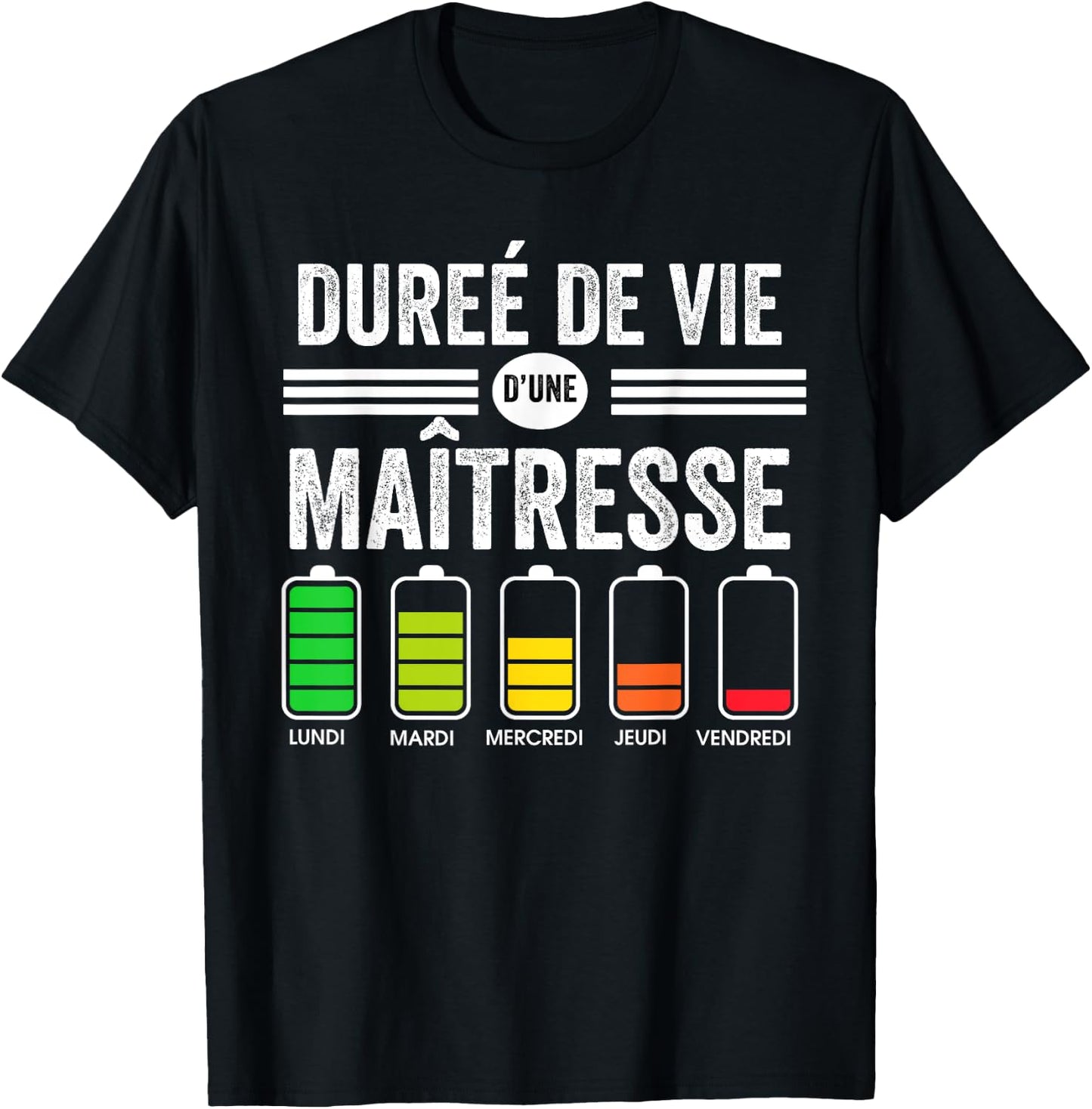 School Mistress Funny Life Of A Mistress , Black, S T-Shirt - T-Shirt | Black