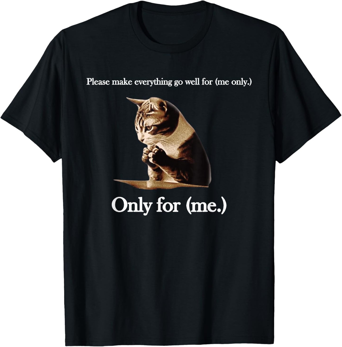 Please Make Everything Go Well For (me only.) Cat Saying T-Shirt - T-Shirt | Black