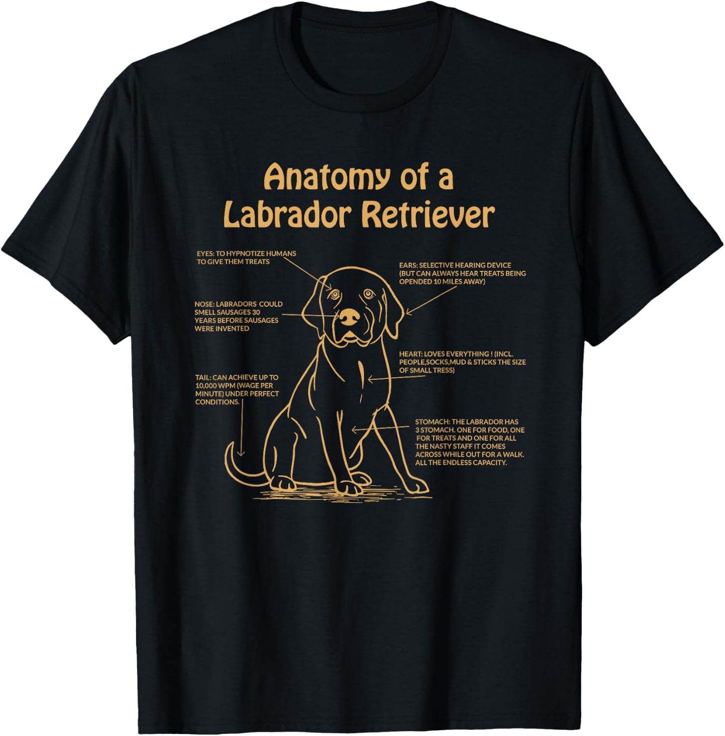 Anatomy of a Labrador Retriever Lab Owner T-Shirt - T-Shirt | Black