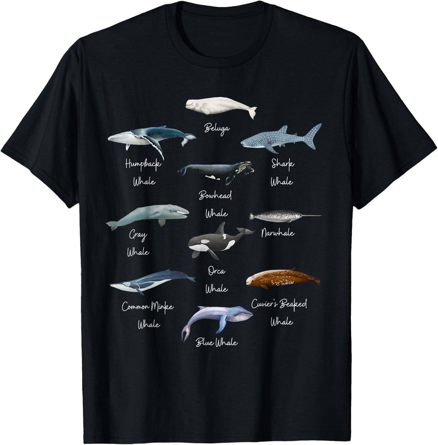 Types Of Whales Watercollor Cute Ocean Mammals Guide T-Shirt - T-Shirt | Black