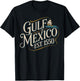 Gulf of Mexico Since 1550 T-Shirt - T-Shirt | Black