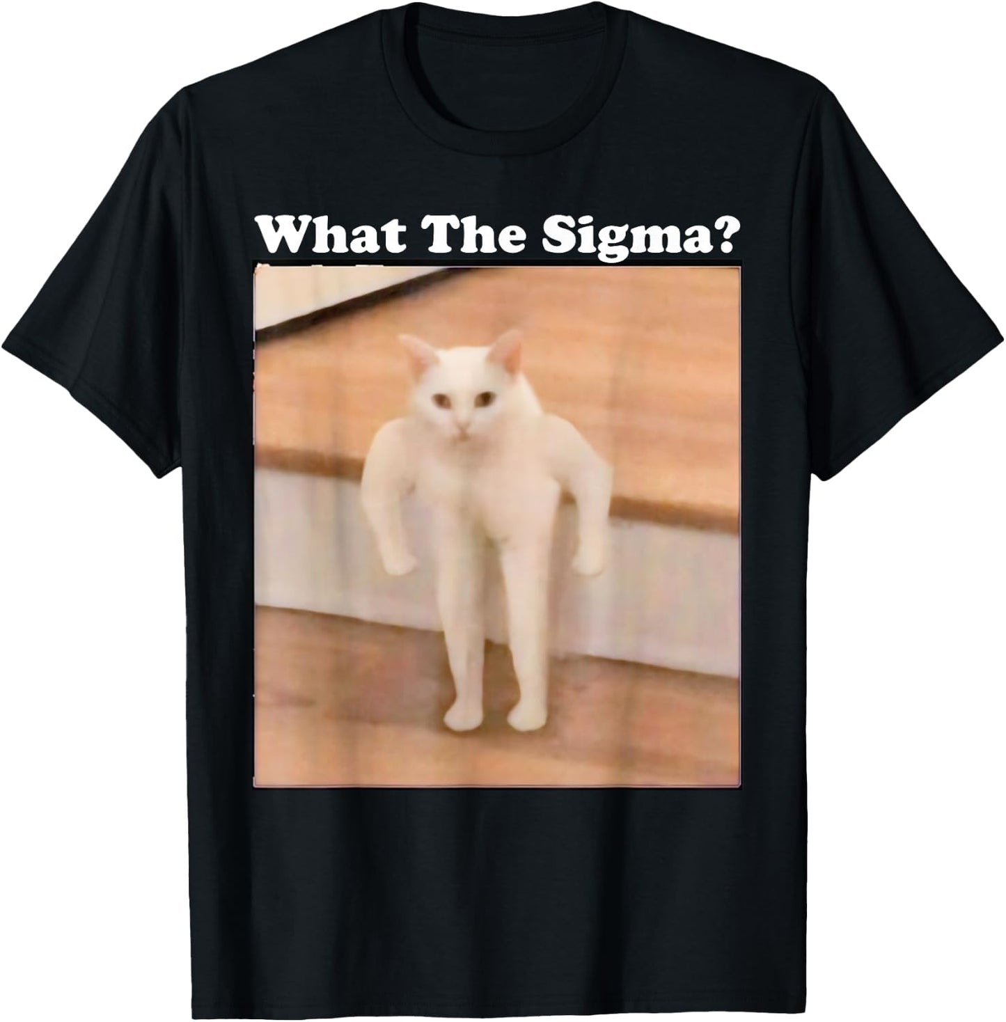 What Sigma Meme Cat Meme Internet Memes Funny Meme Gen Z Pun T-Shirt - T-Shirt | Black