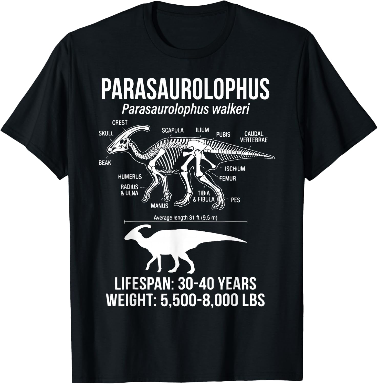 Parasaurolophus Diagram T-Shirt - T-Shirt | Black