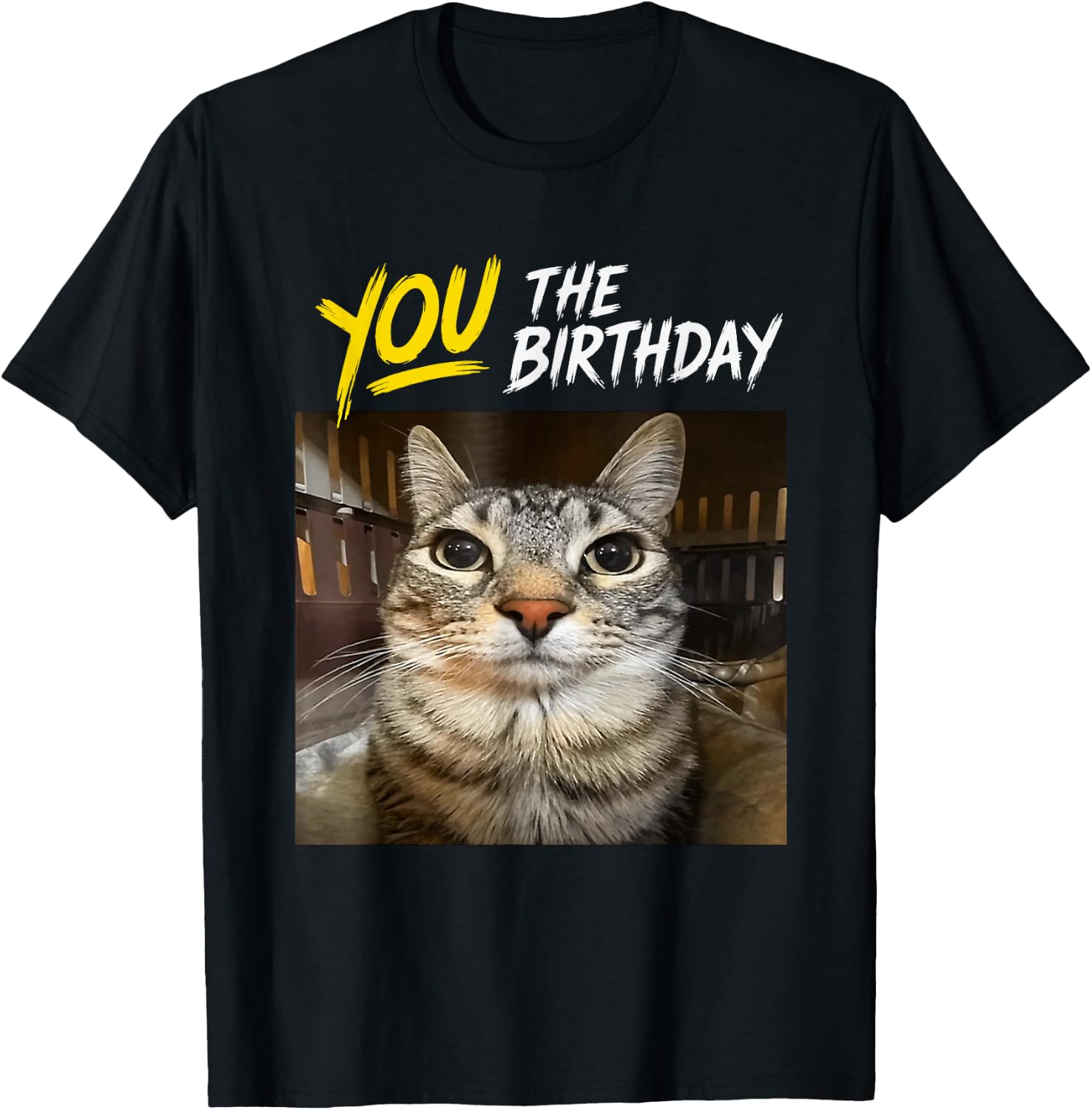 You The Birthday Funny Gen Z Slang Meme Cat T-Shirt - T-Shirt | Black