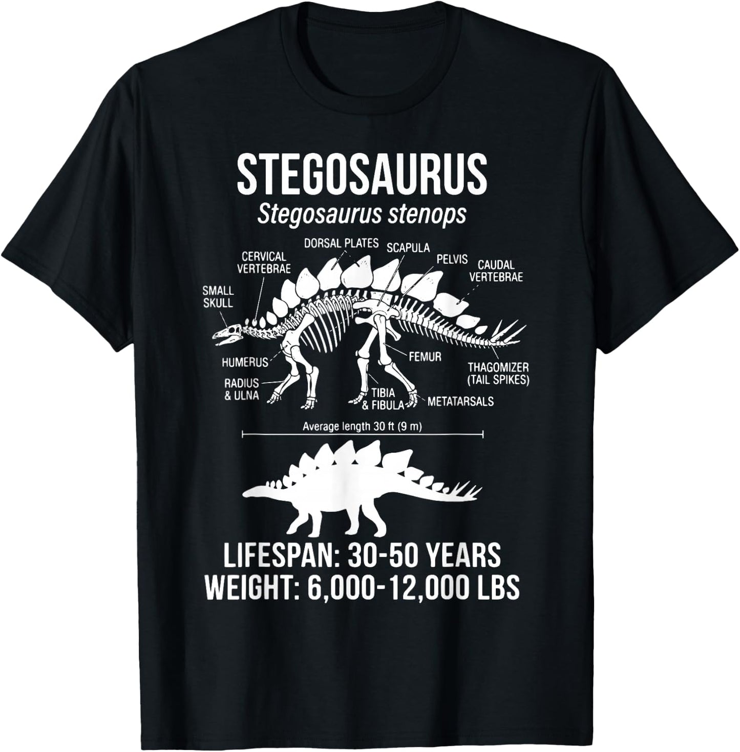 Stegosaurus Diagram T-Shirt - T-Shirt | Black