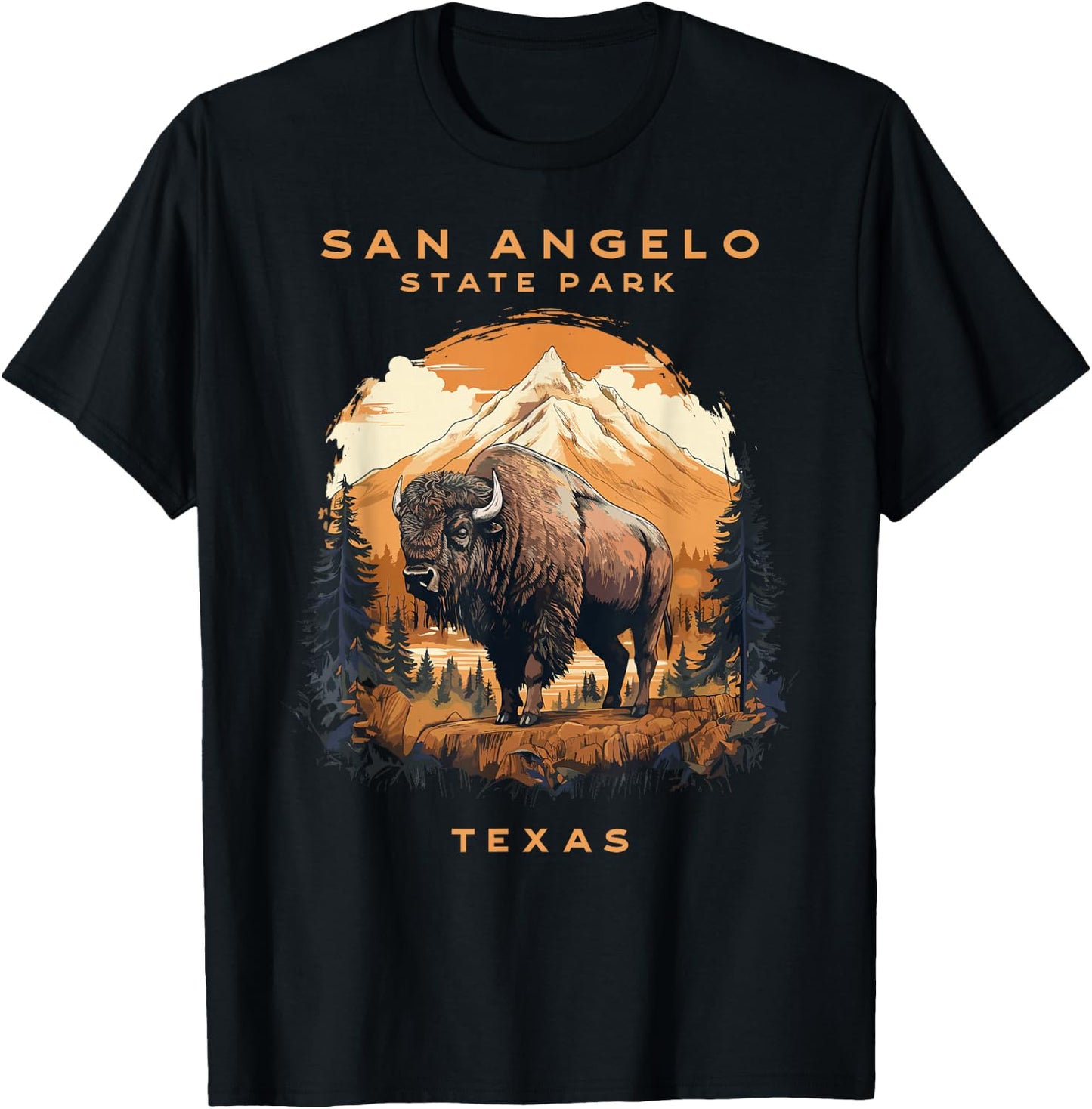 San Angelo Bison State Park Texas Vintage T-Shirt - T-Shirt | Black
