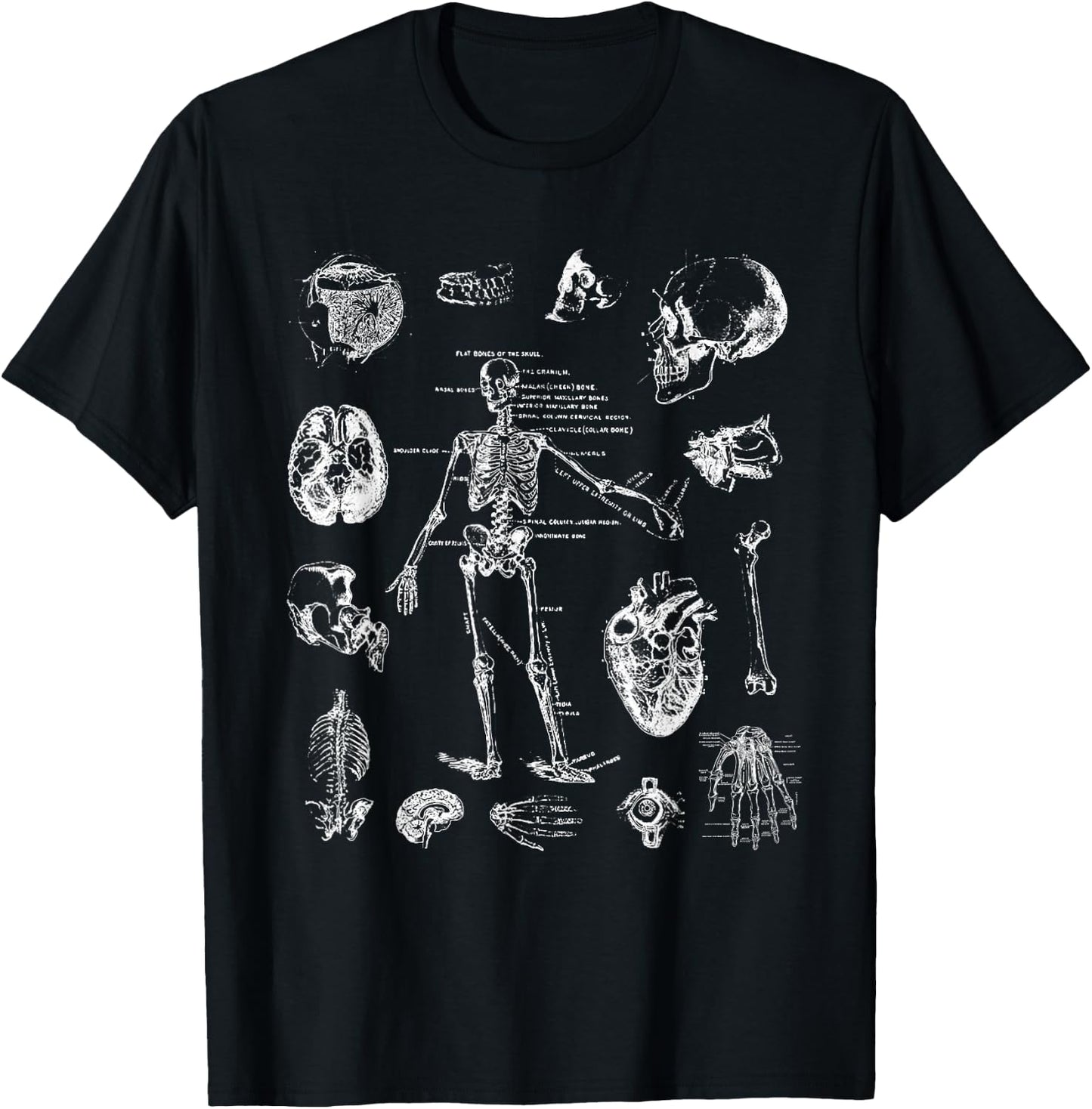 Human Skeleton Anatomy Drawing Diagram Spooky Halloween T-Shirt - T-Shirt | Black