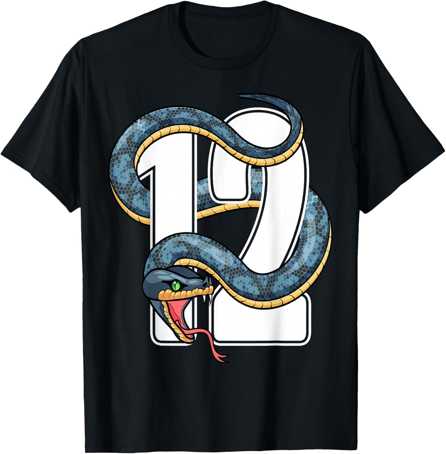 12th Birthday Snake Twelve 12 Year Old Birthday Boy Girl T-Shirt - T-Shirt | Black