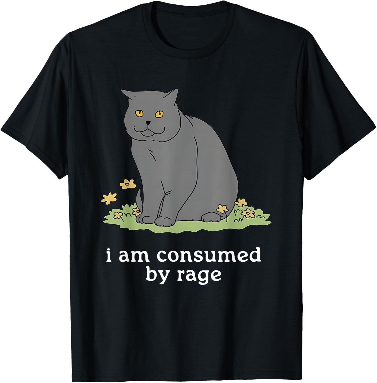 Consumed By Rage I Am Consumed by Rage T-Shirt - T-Shirt | Black