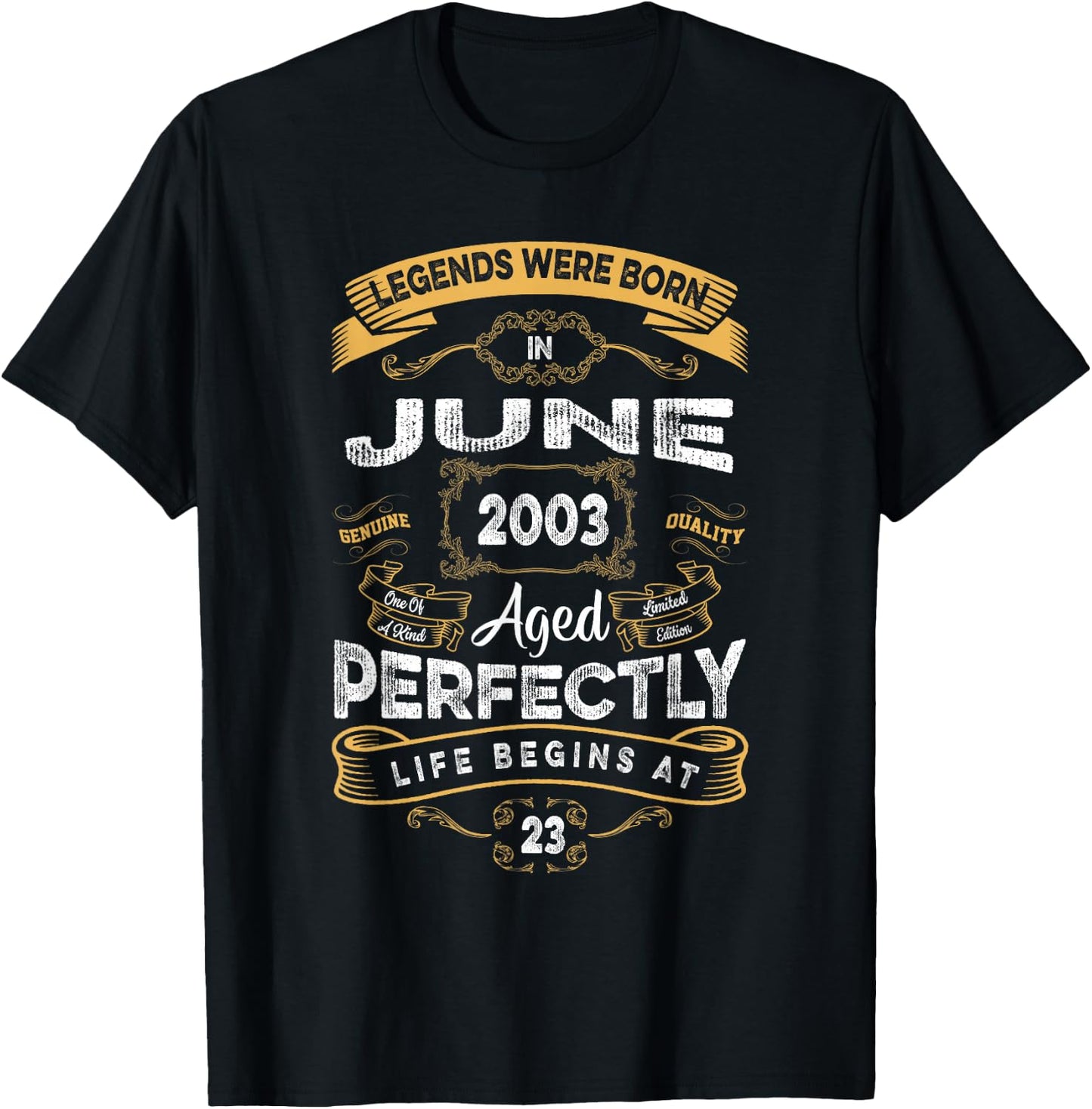 Retro 23rd Birthday Legends were Born in June 2003 T-Shirt - T-Shirt | Black