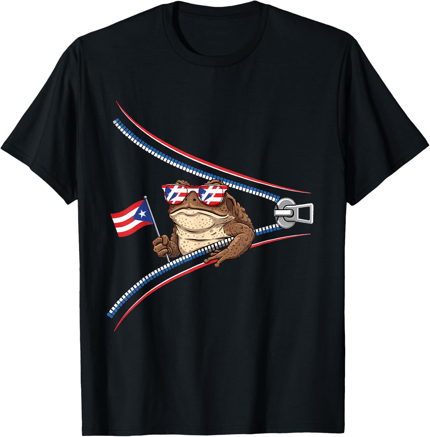 Coqui Frog Puerto Rico Flag Puerto Rican Taino Boricua T-Shirt - T-Shirt | Black
