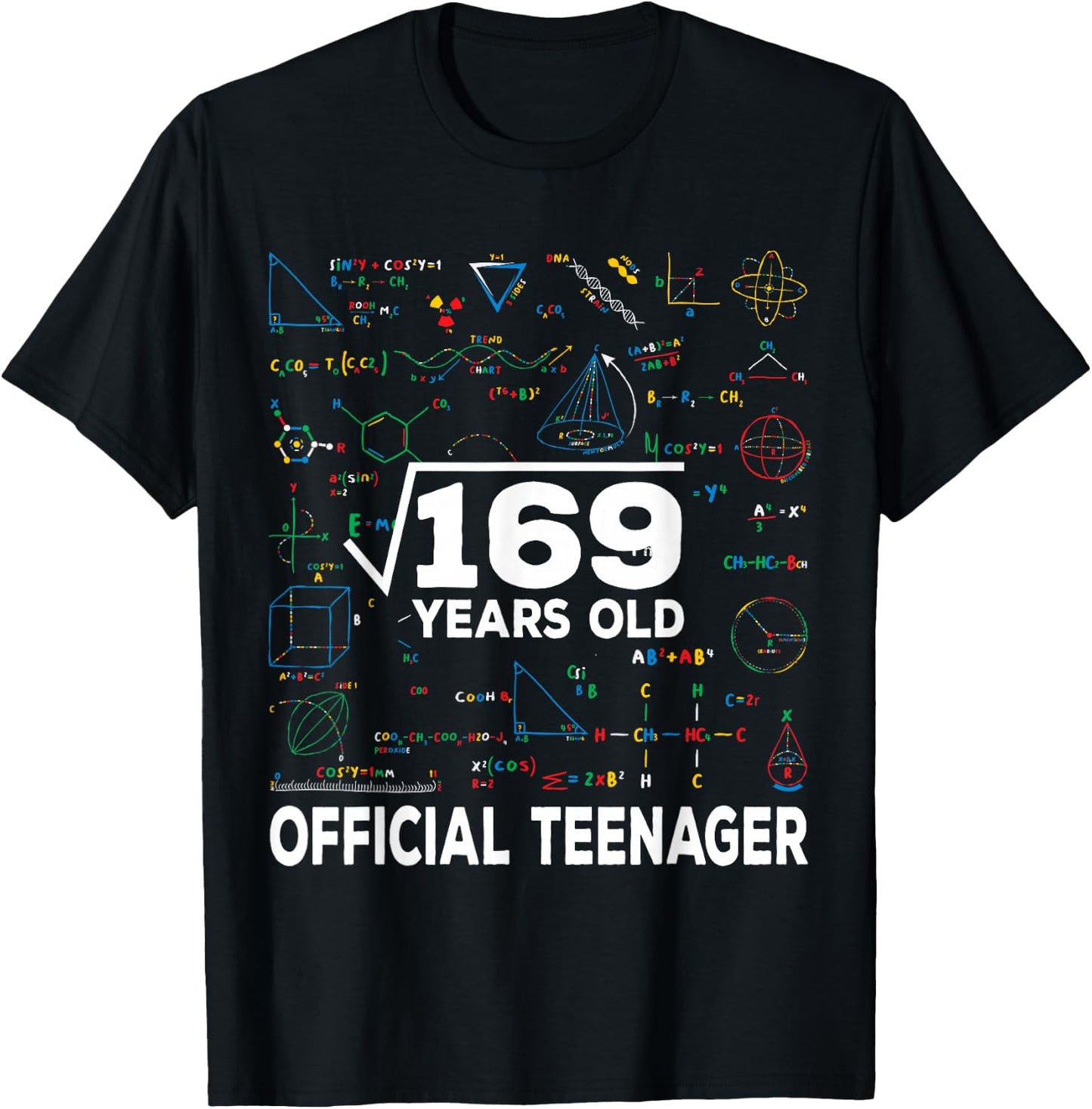 Square Root Of 169 13 Years Old Official Teenager Birthday T-Shirt - T-Shirt | Black