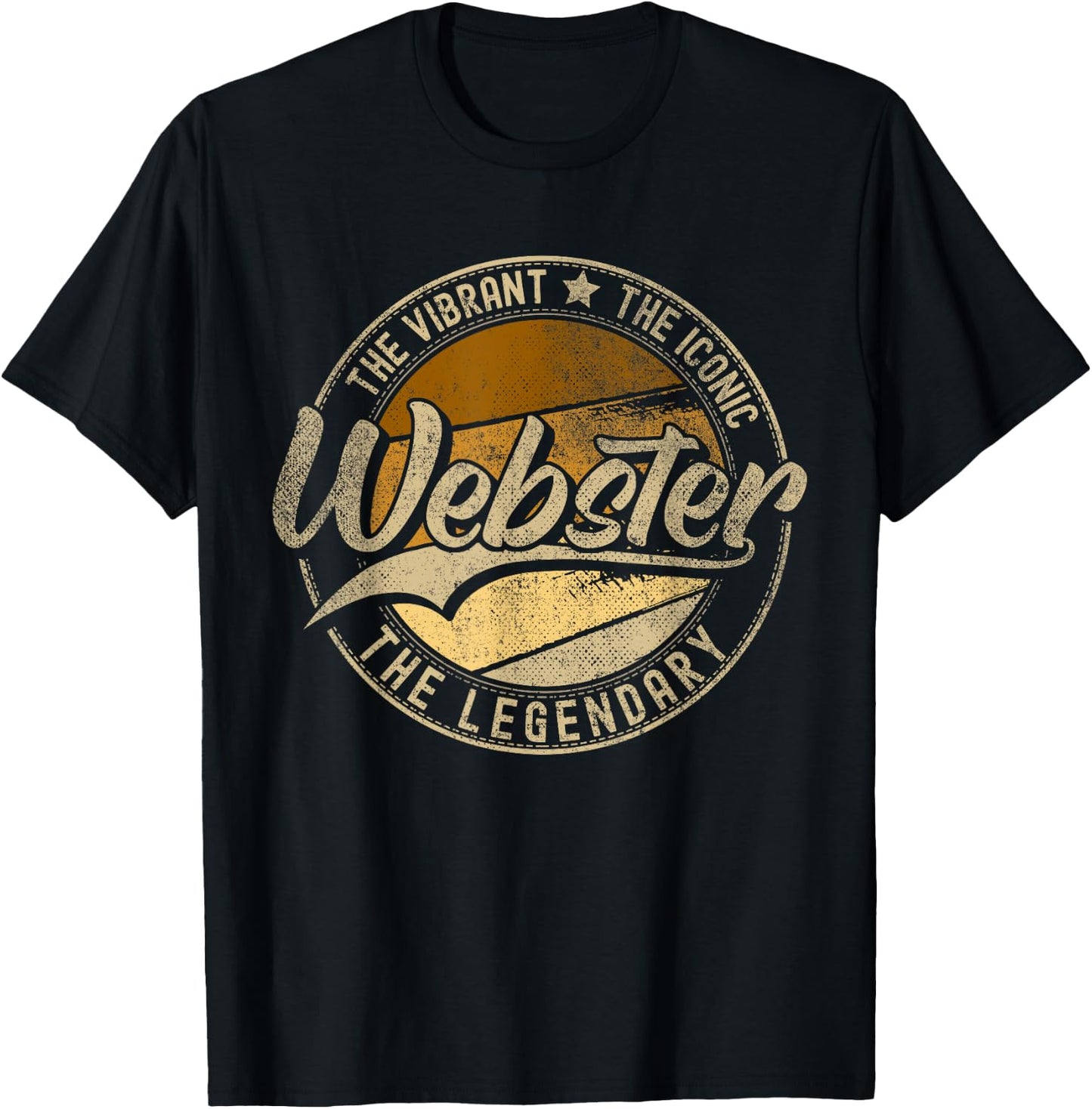 Webster NY | New York | Vintage Distressed T-Shirt - T-Shirt | Black