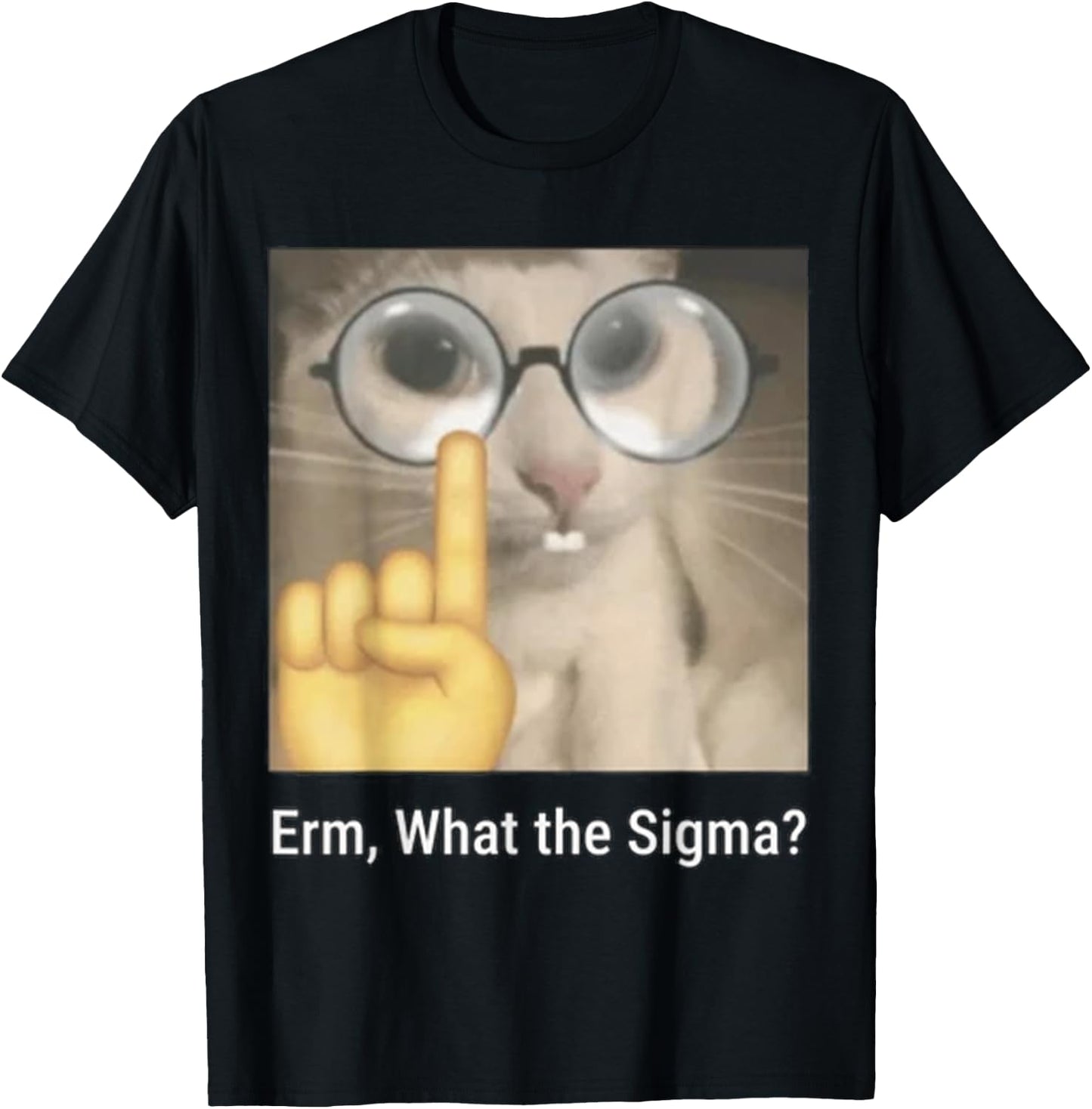 Cat Funny Erm, What The Sigma? Cat Meme Funny T-Shirt - T-Shirt | Black