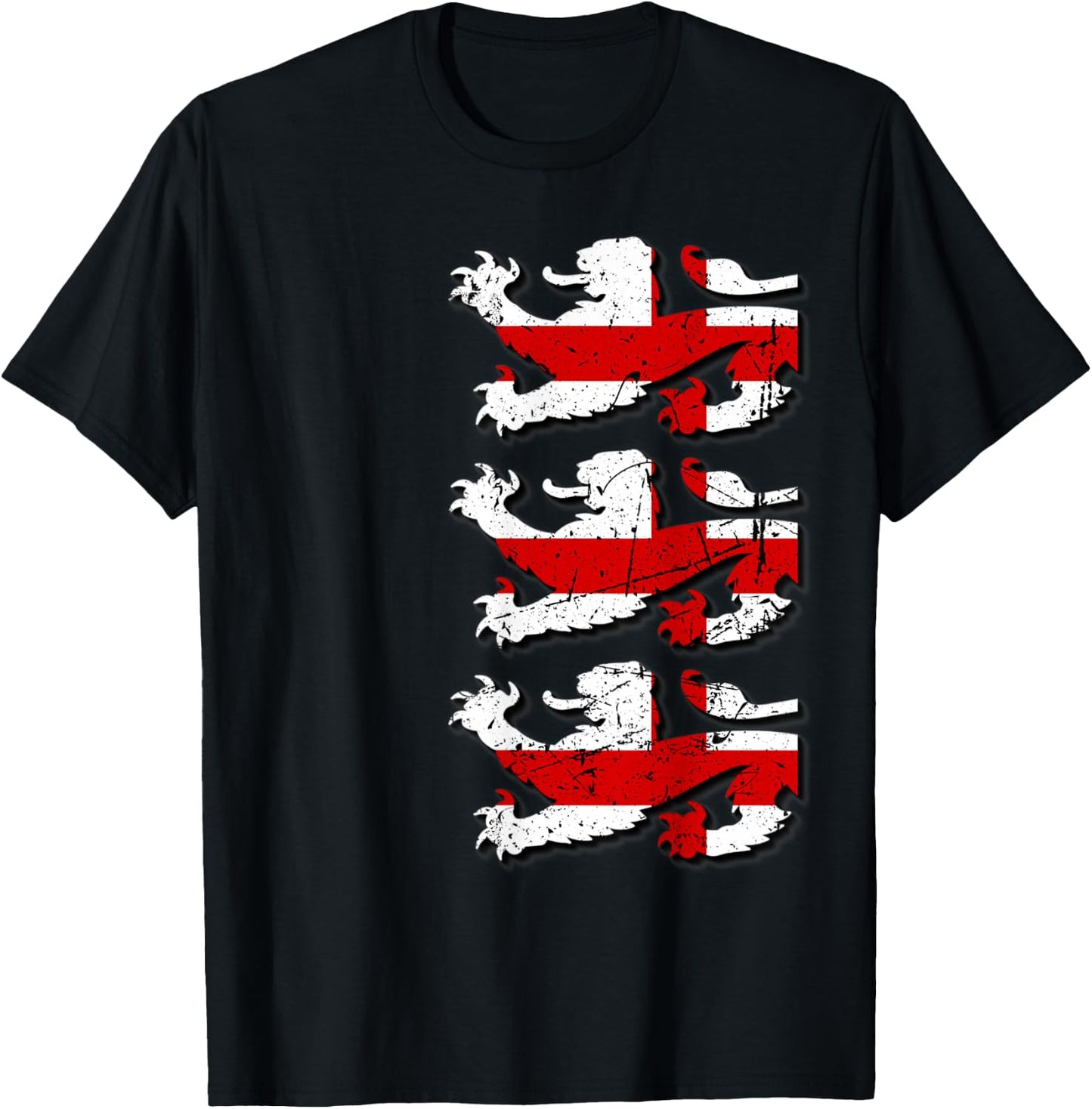 3 Lions Flag T-Shirt - T-Shirt | Black