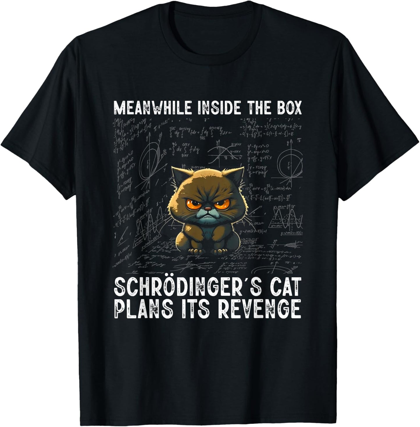 Inside The Box Schrödingers Cat Physics Student Gift , black T-Shirt - T-Shirt | Black