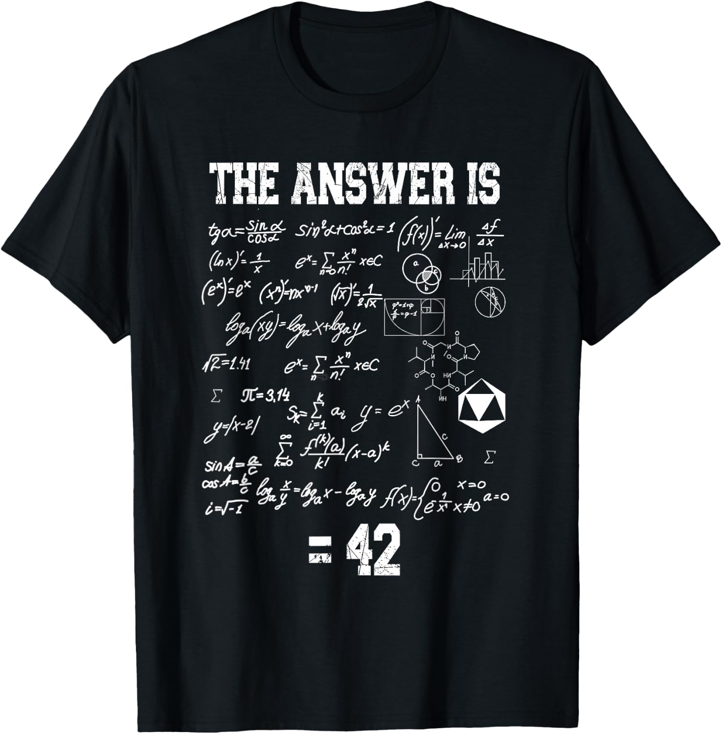The Answer is 42, Genie, Nerd, Mathematik T-Shirt - T-Shirt | Black