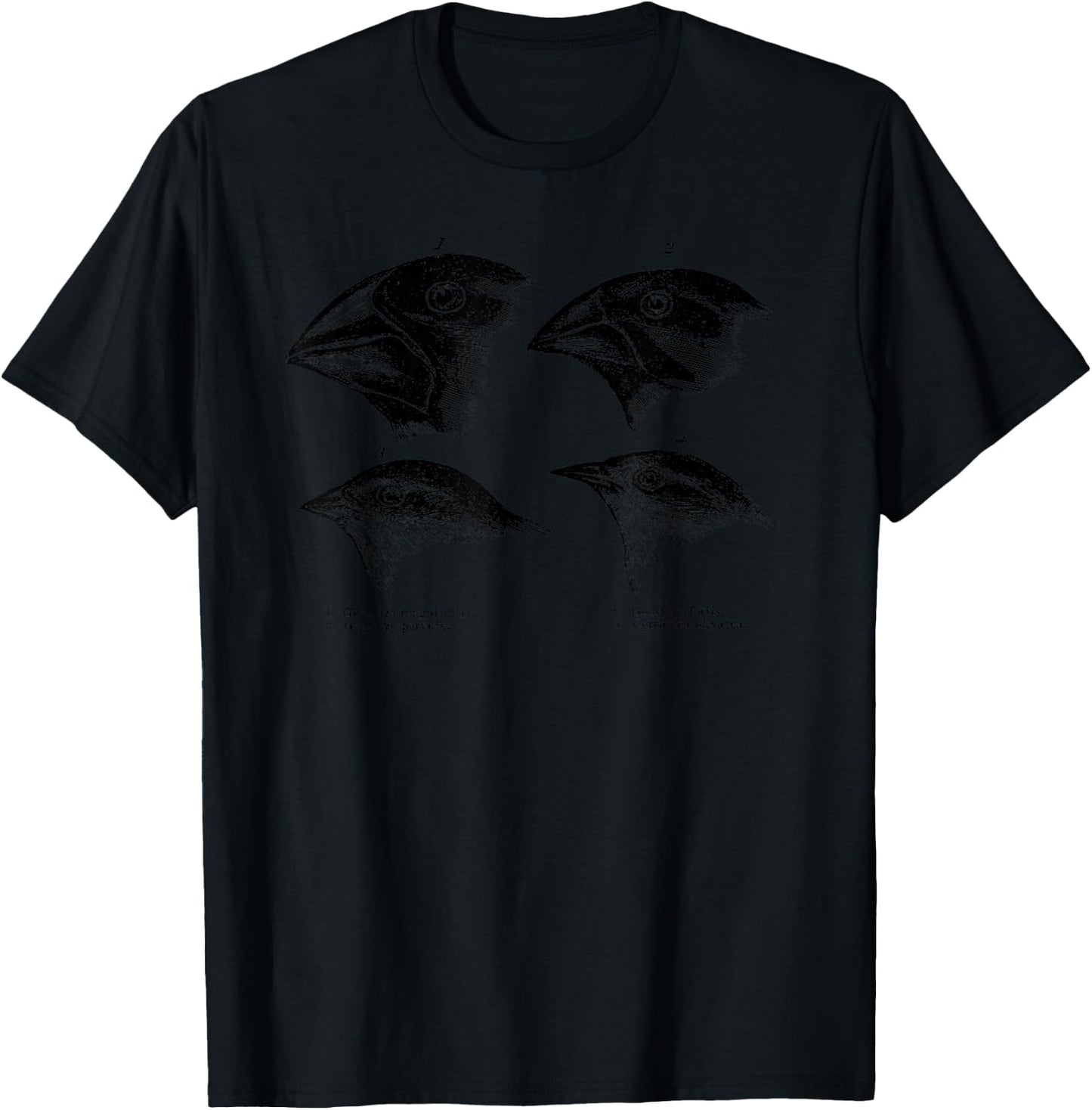 Darwin's Finches Evolution Atheist Illustration T-Shirt - T-Shirt | Black