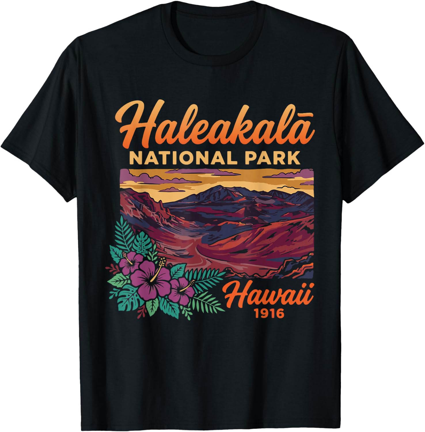 Haleakala National Park Maui Hawaii Vintage Design T-Shirt - T-Shirt | Black