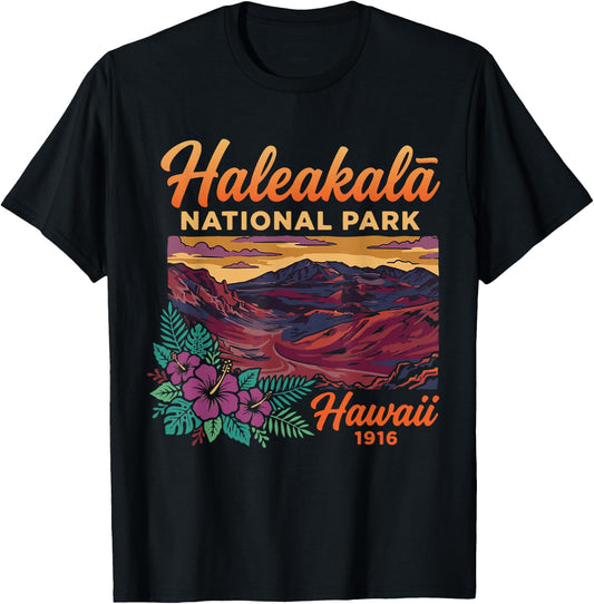 Haleakala National Park Maui Hawaii Vintage Design T-Shirt - T-Shirt | Black