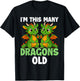 I'm This Many Dragons Old - 2nd Birthday 2 Years Old Bday T-Shirt - T-Shirt | Black