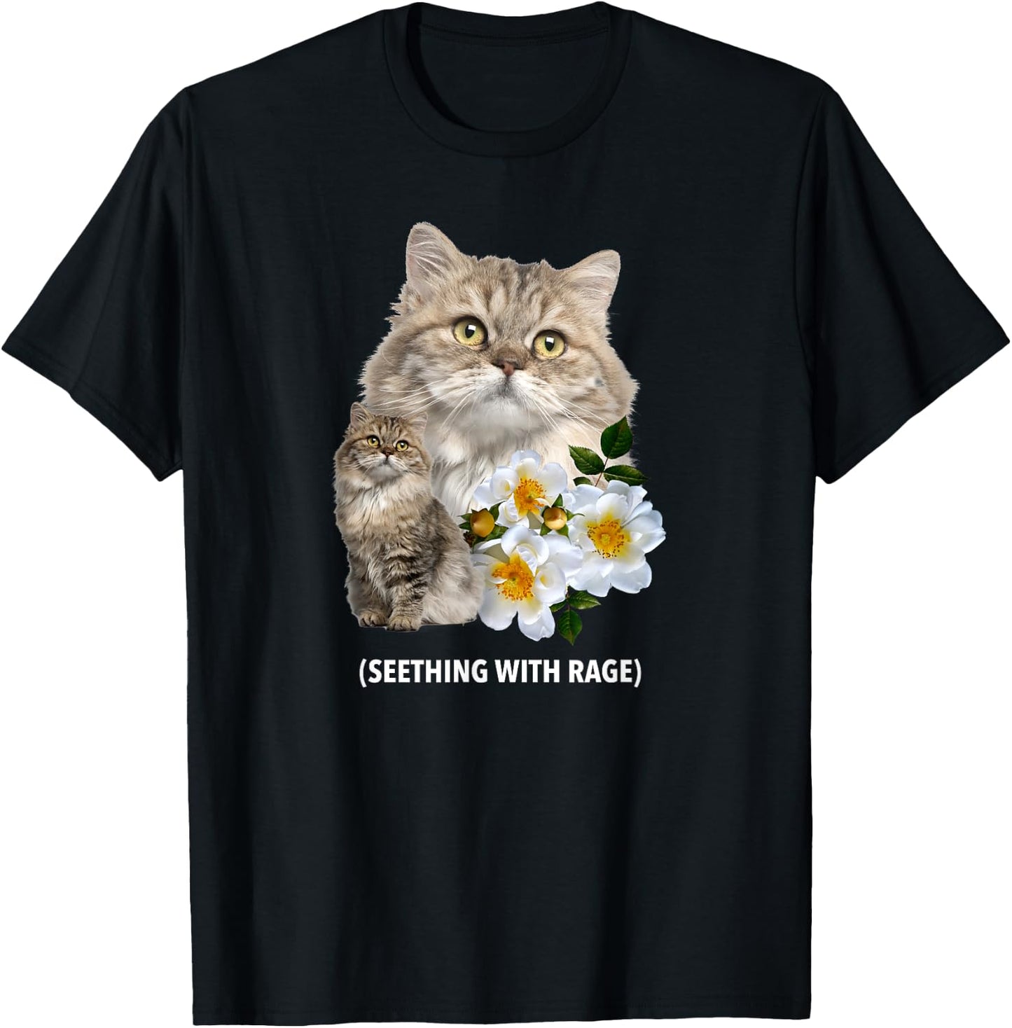Funny Cat Seething with Rage Cute Sarcastic Kitty Feline Men Women T-Shirt - T-Shirt | Black