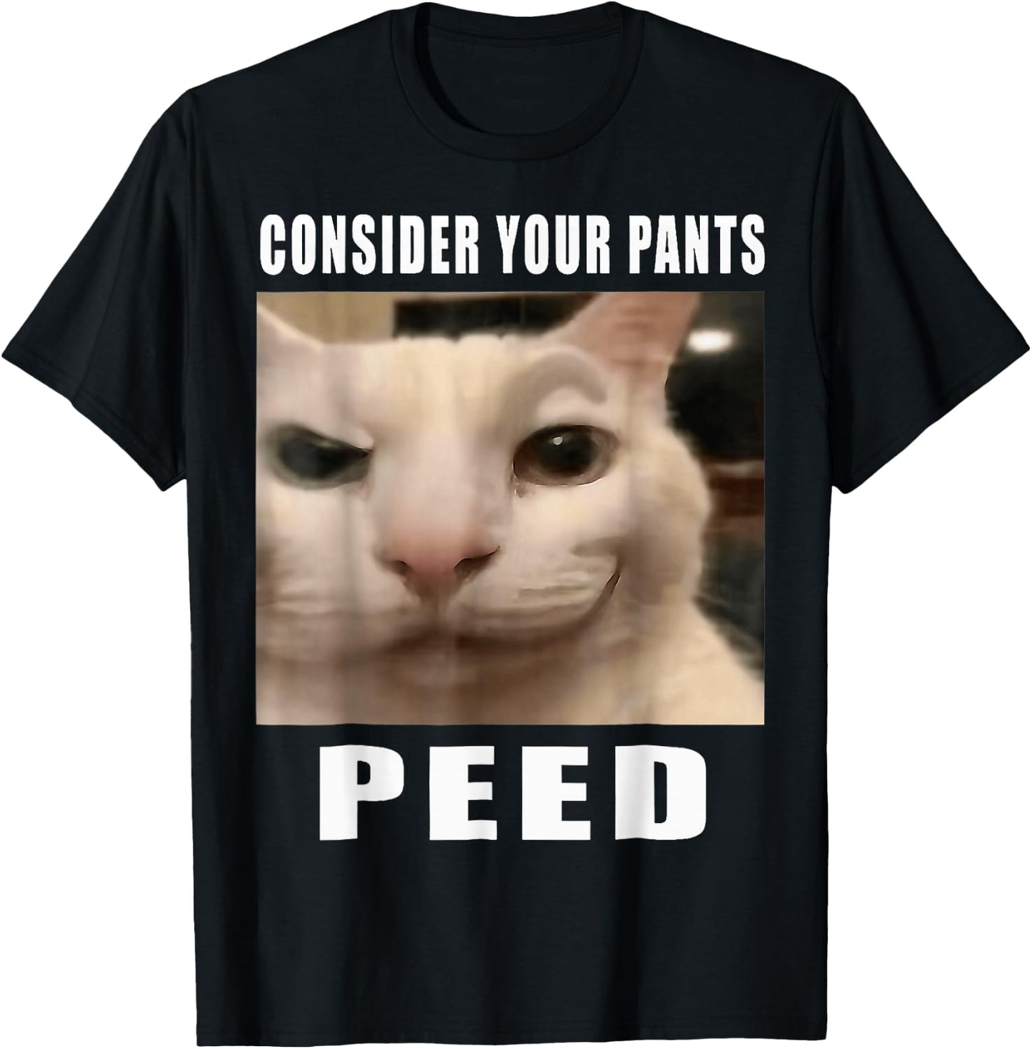 Consider Your Pants Peed Cat Funny T-Shirt - T-Shirt | Black