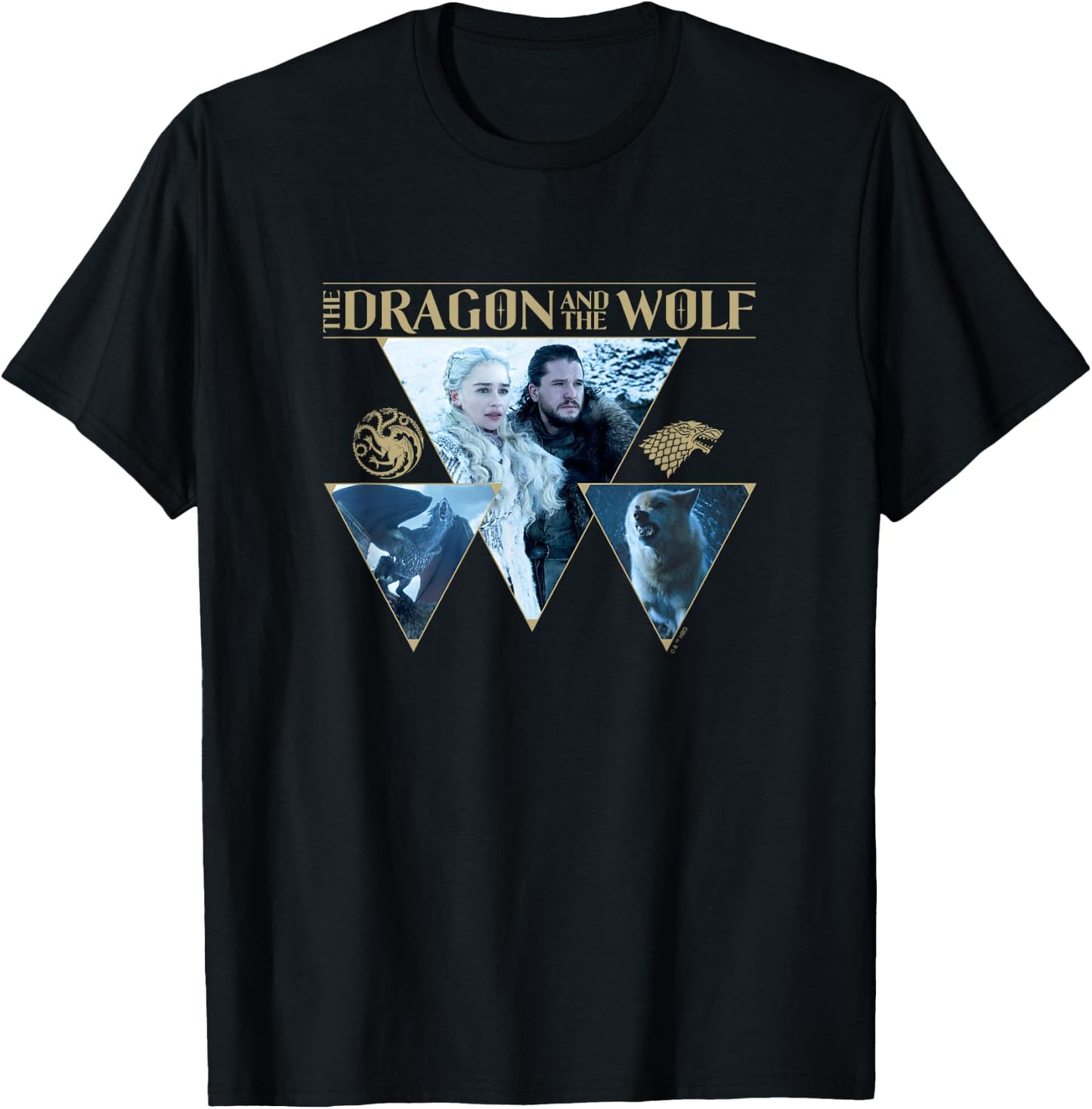 Game Of Thrones The Dragon & The Wolf House Words Panels T-Shirt - T-Shirt | Black