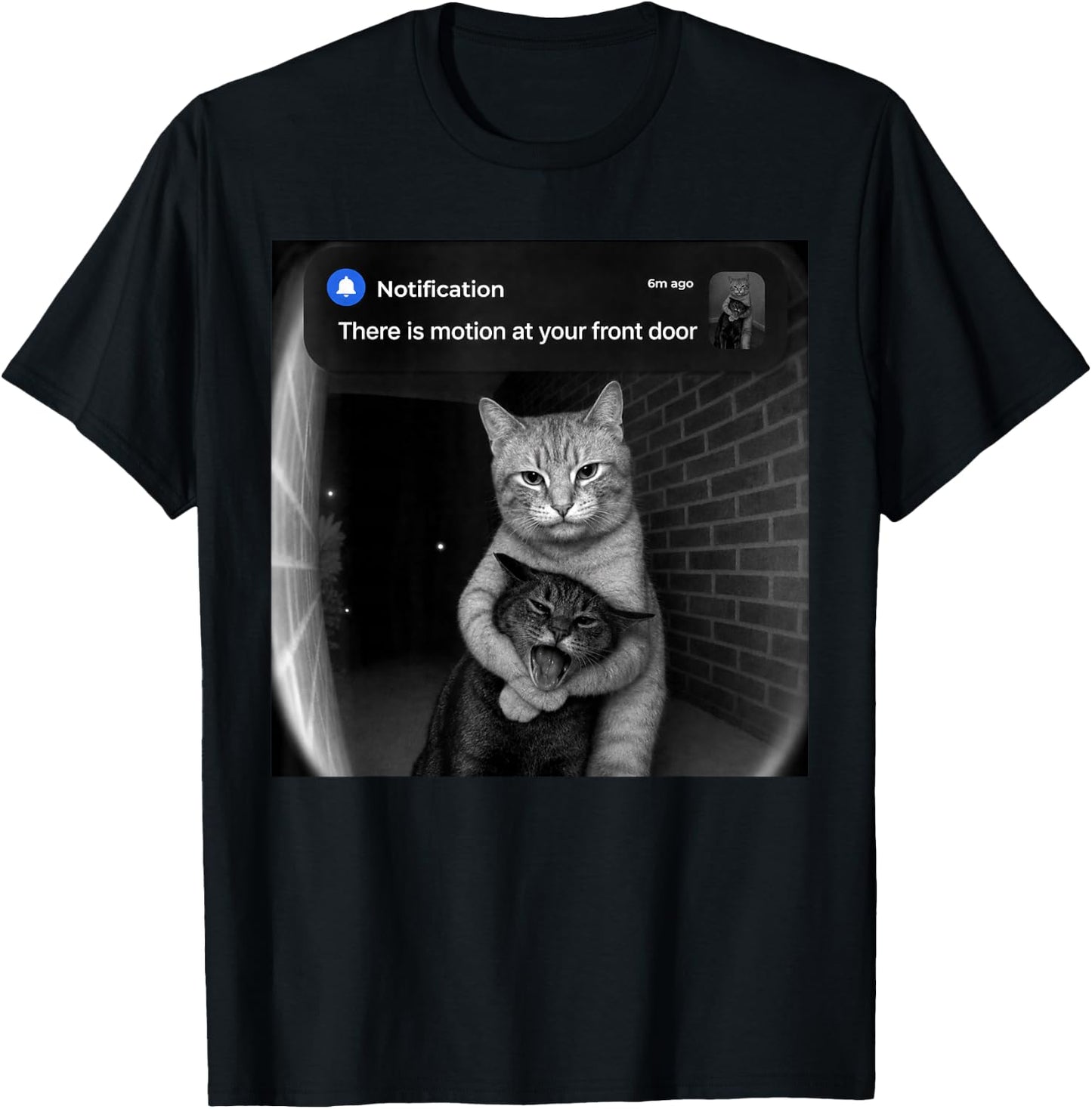 There is Motion at Your Front Door Funny Sibling Cats Meme T-Shirt - T-Shirt | Black