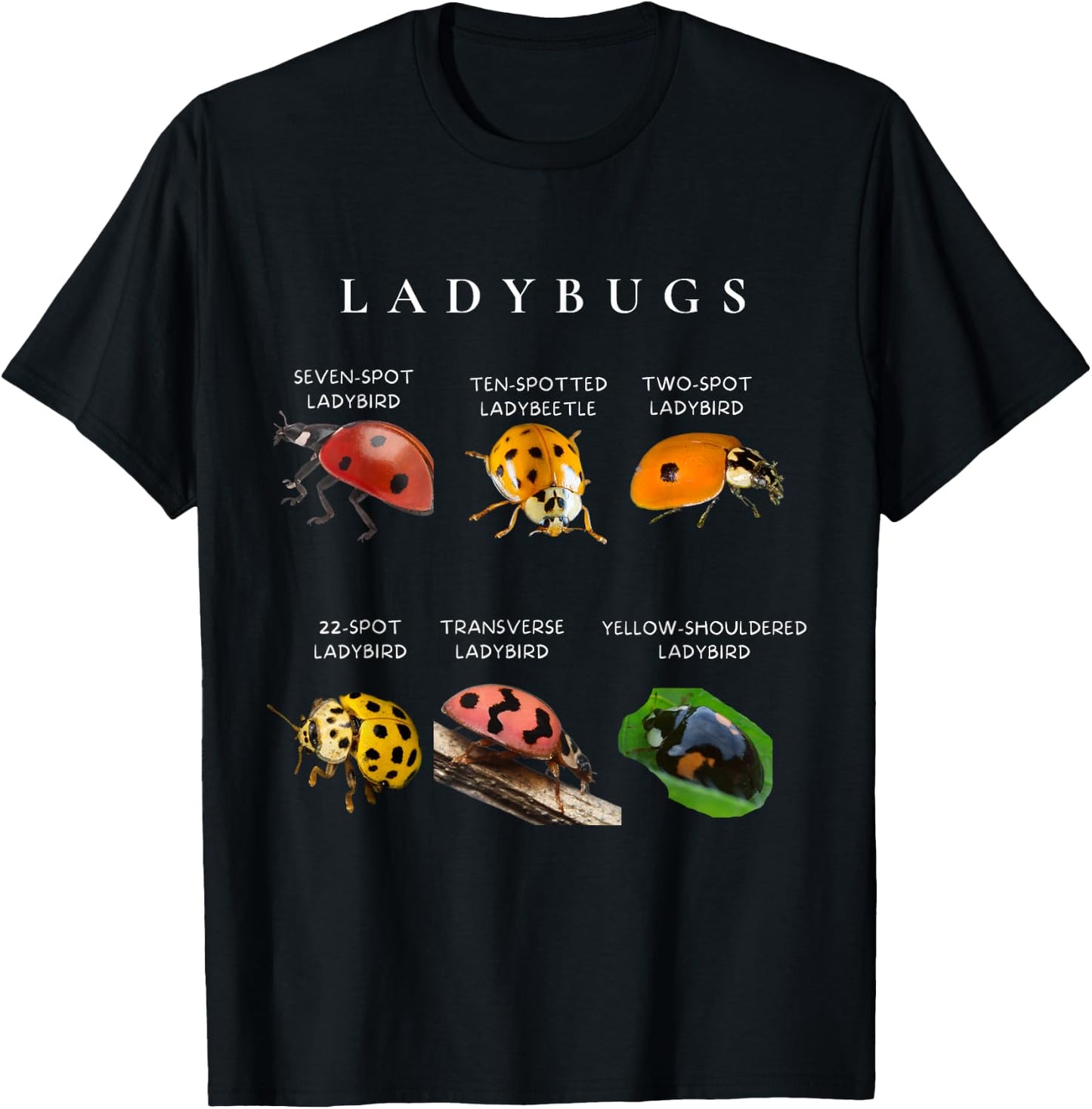 Types of ladybugs insects bug identification science T-Shirt - T-Shirt | Black