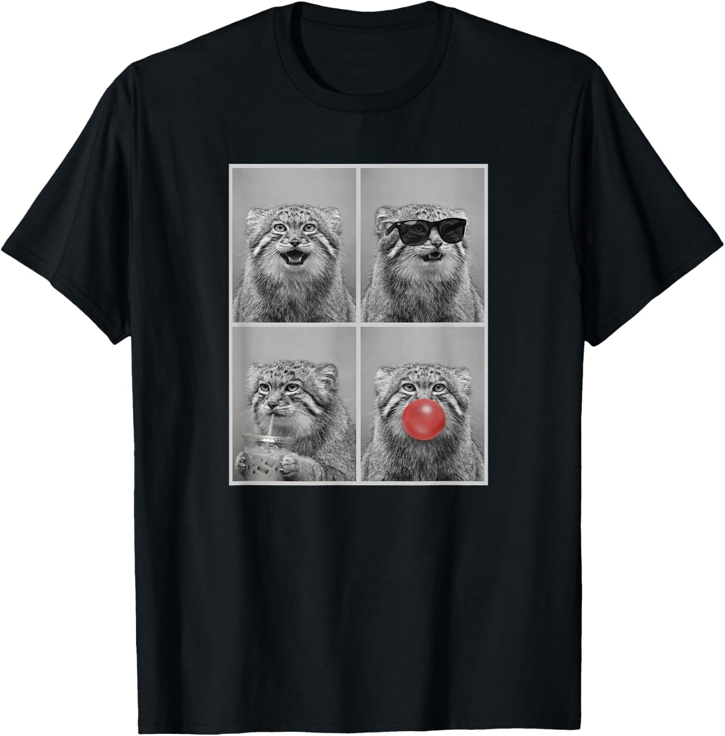 Pallas's Cats Funny Pallas's cat T-Shirt - T-Shirt | Black