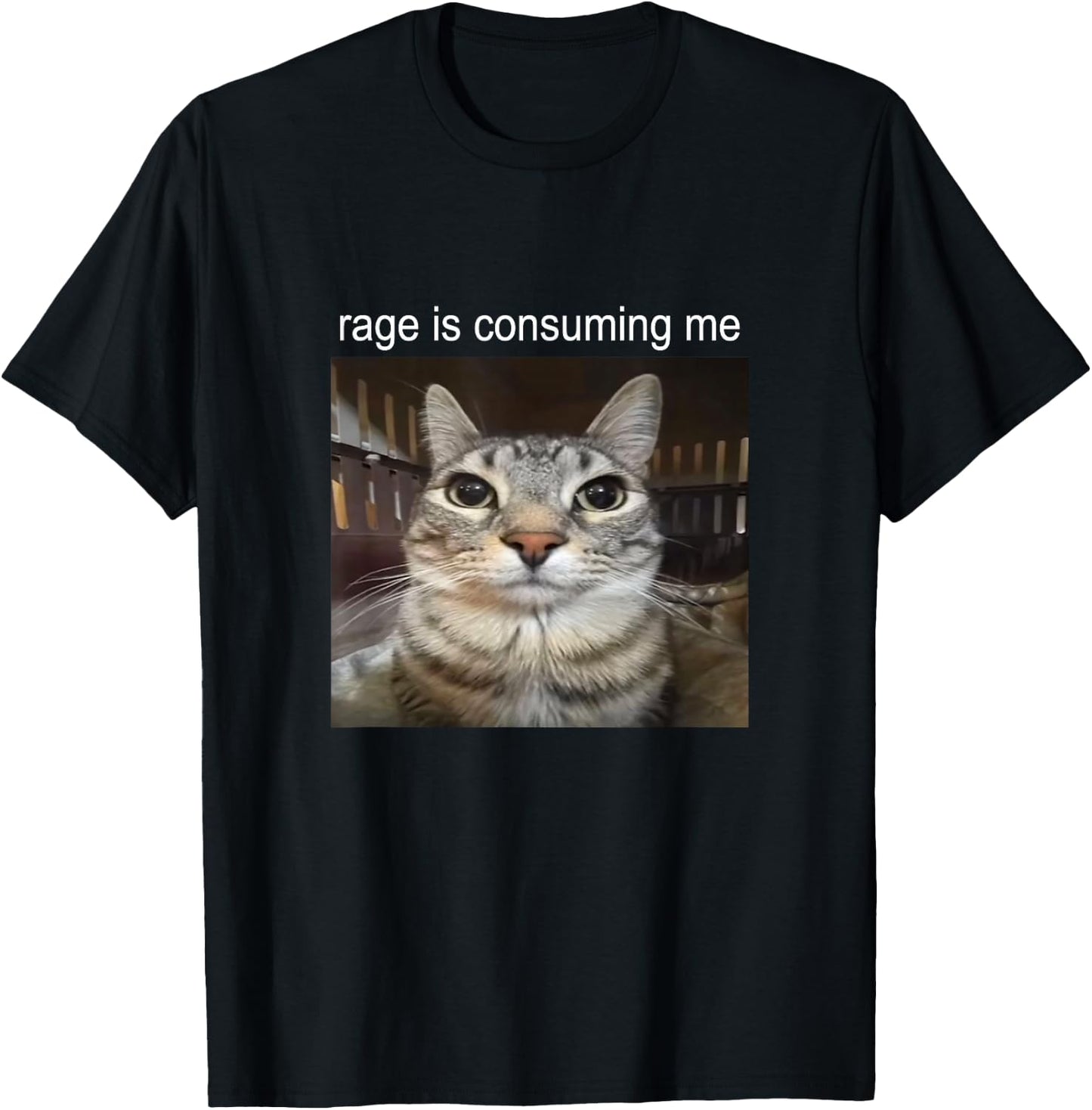 Wut verzehrt mich Dummes Starrendes Katzen-Meme , black T-Shirt - T-Shirt | Black