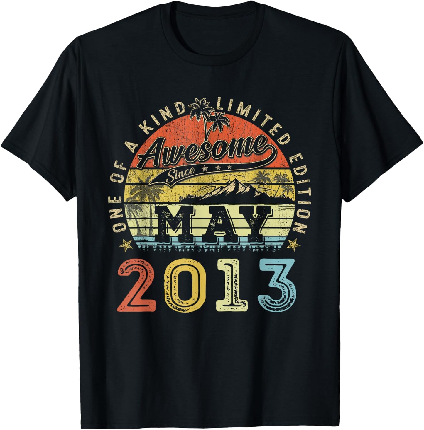 13 Limited Edition 2013 One of a Kind Mai 13. Geburtstag T-Shirt - T-Shirt | Black