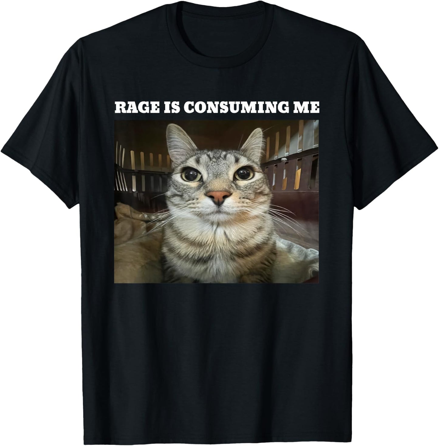 Rage Is Consuming Me Cat Meme T-Shirt - T-Shirt | Black