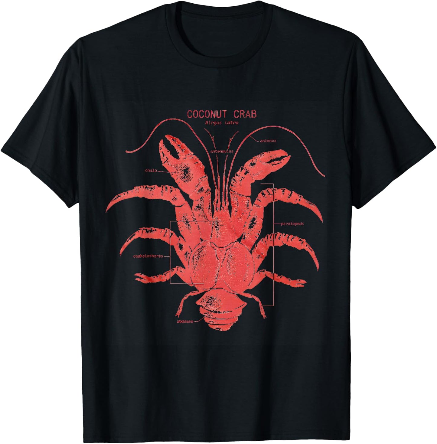 Coconut Crab Anatomy T-Shirt - T-Shirt | Black