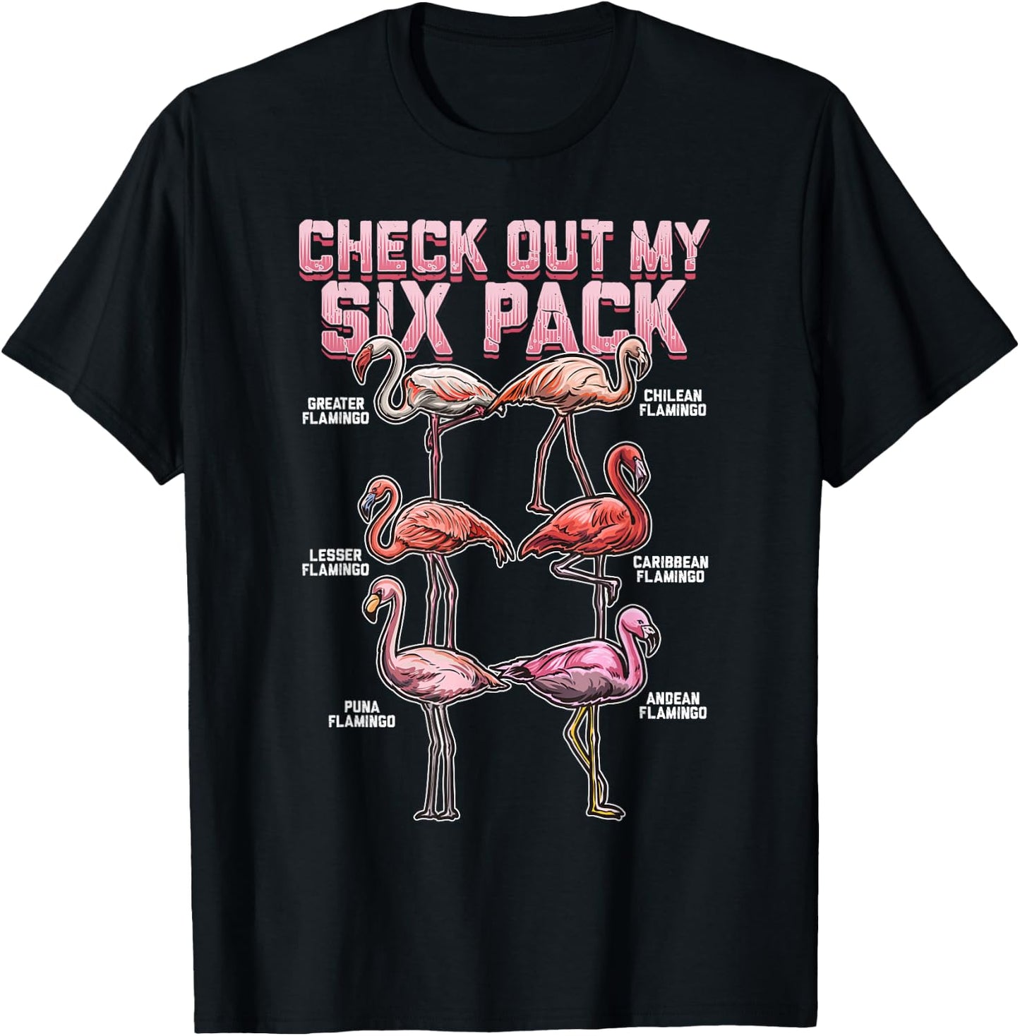 Flamingo Shirt Men Women Boys Girls Check Out My Six Pack T-Shirt - T-Shirt | Black