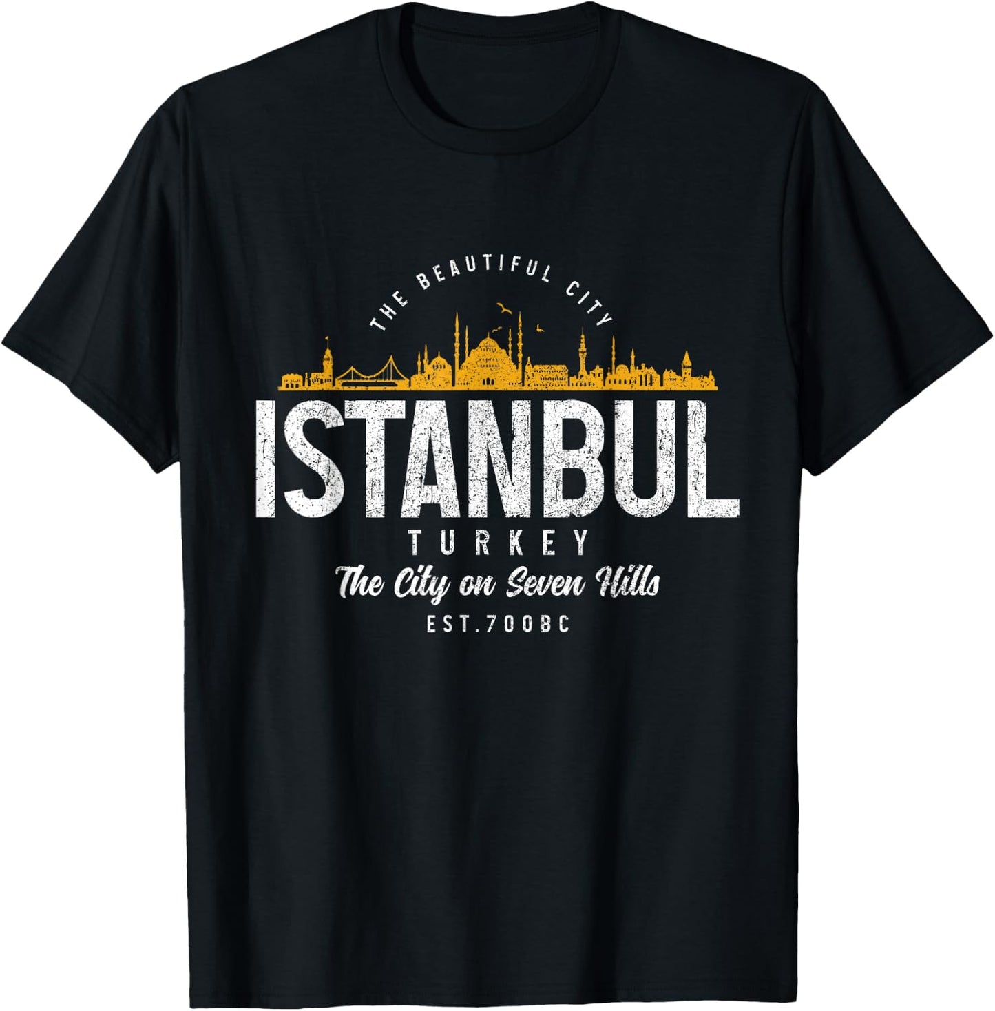 Istanbul Skyline Turkey Turkish Pride Souvenir Turkiye T-Shirt - T-Shirt | Black