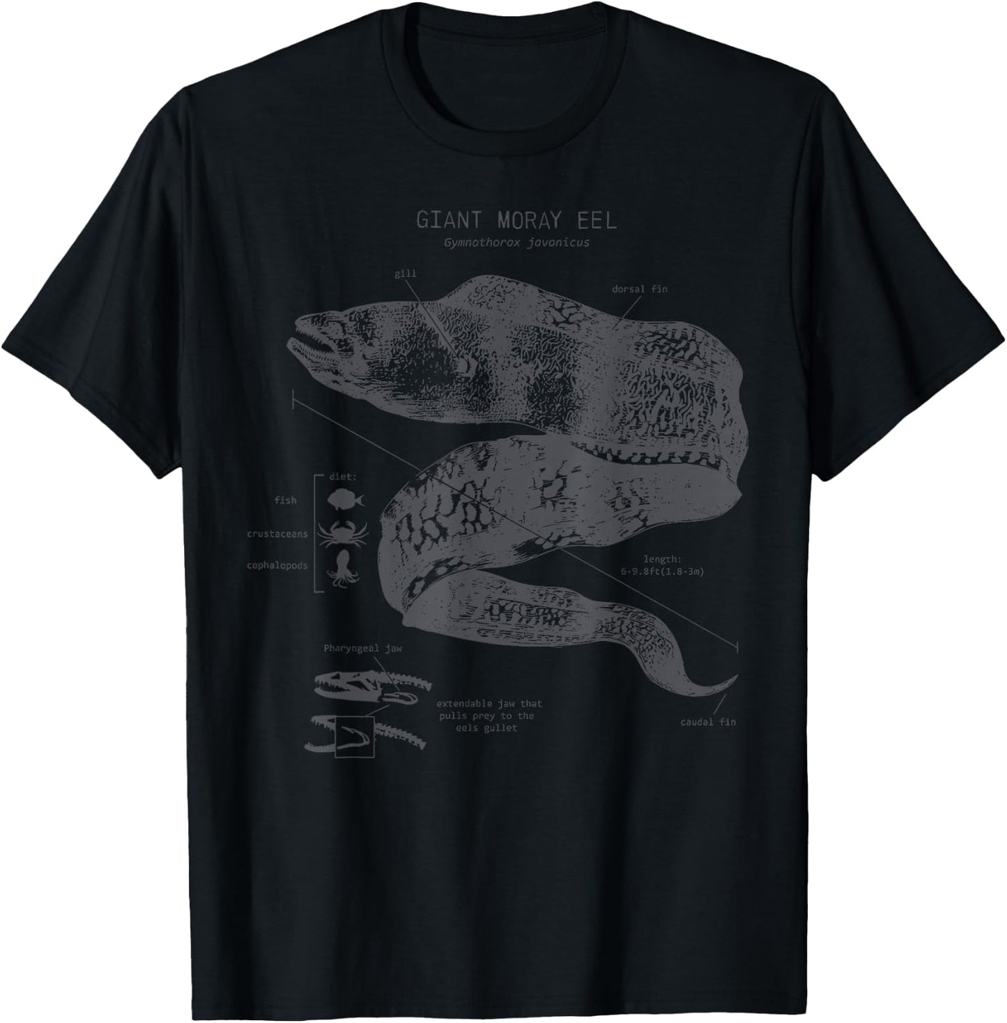 Vintage Moray Eel Anatomy Ocean Animal Marine Biologist T-Shirt - T-Shirt | Black