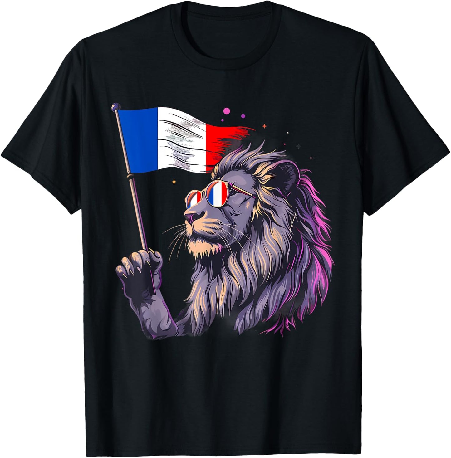 Drapeau Français Lion Racines Françaises Fierté Française France T-Shirt - T-Shirt | Black