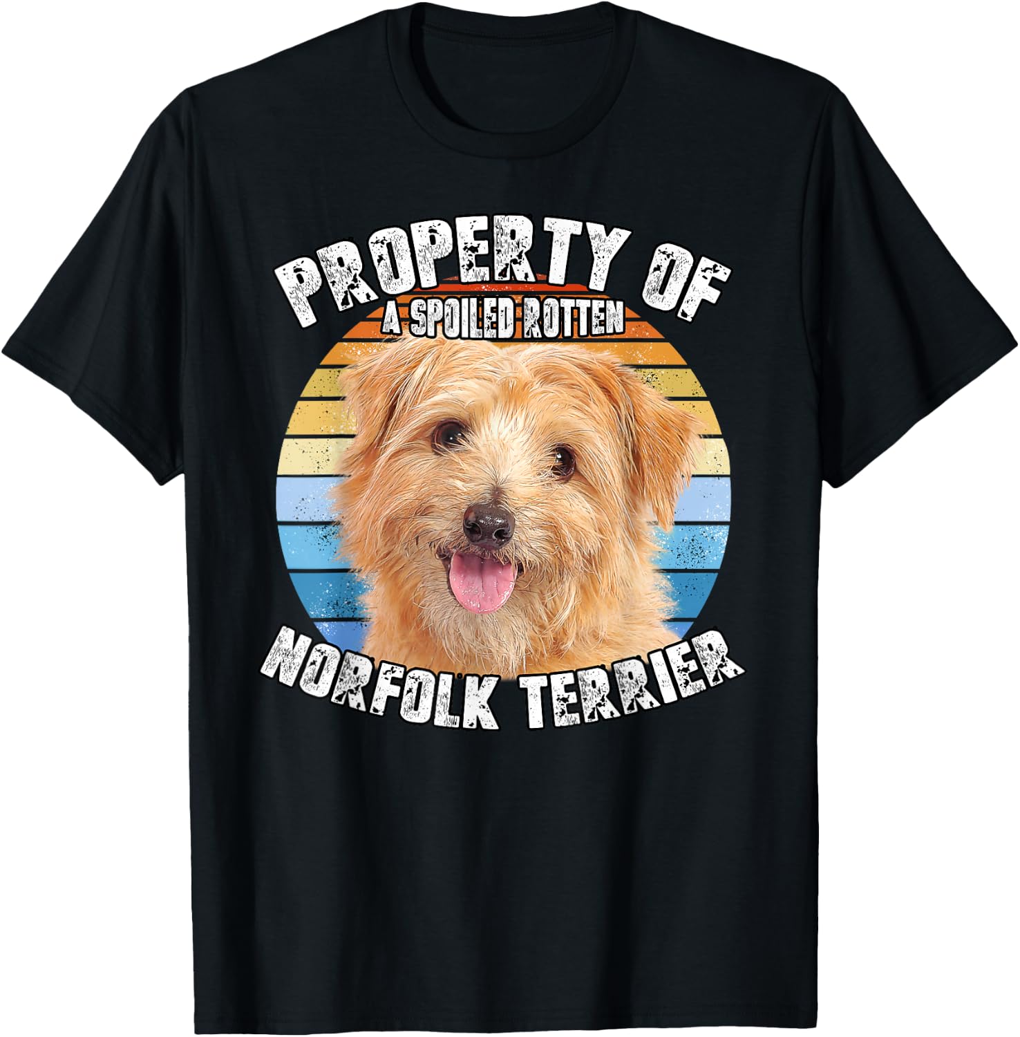 Norfolk Terrier Retro Property Of T-Shirt - T-Shirt | Black