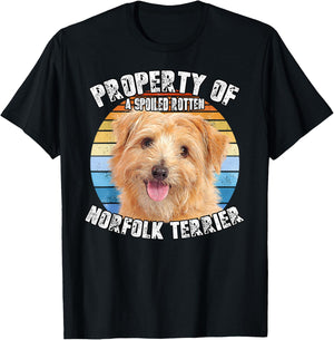 Norfolk Terrier Retro Property Of T-Shirt - T-Shirt | Black