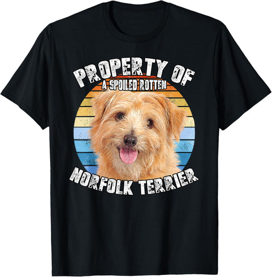 Norfolk Terrier Retro Property Of T-Shirt - T-Shirt | Black